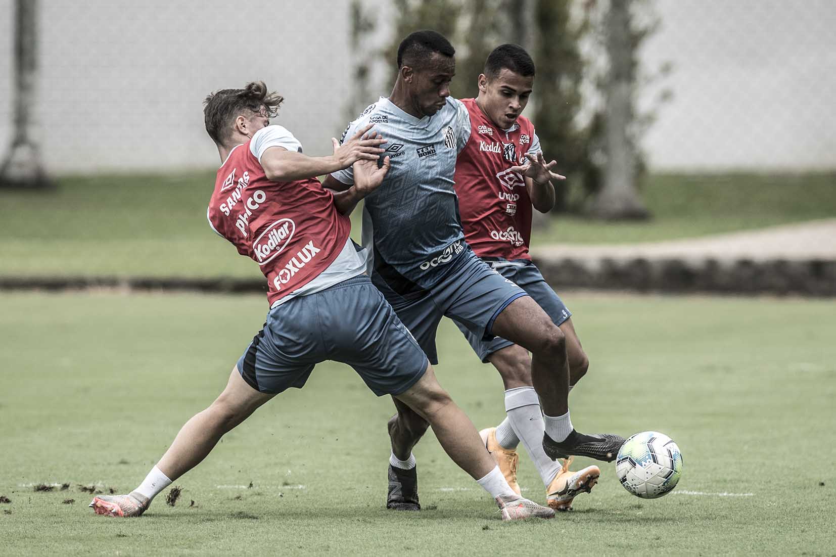 Confira fotos da reapresentação do Santos após empate na Copa do Brasil ...
