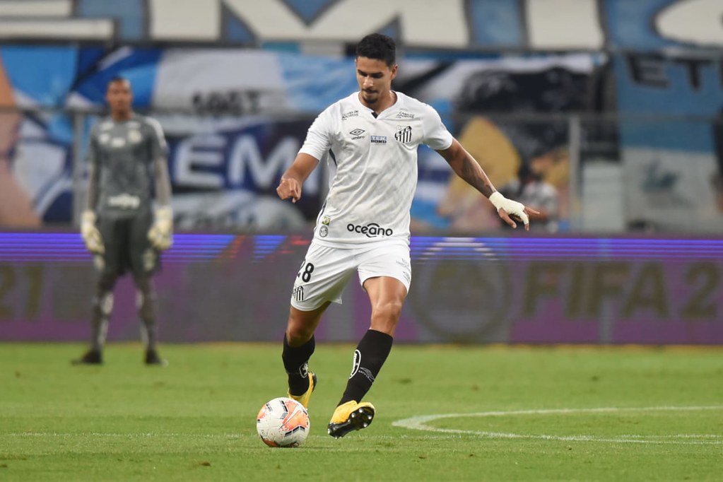 Imagem ilustrativa para a matéria