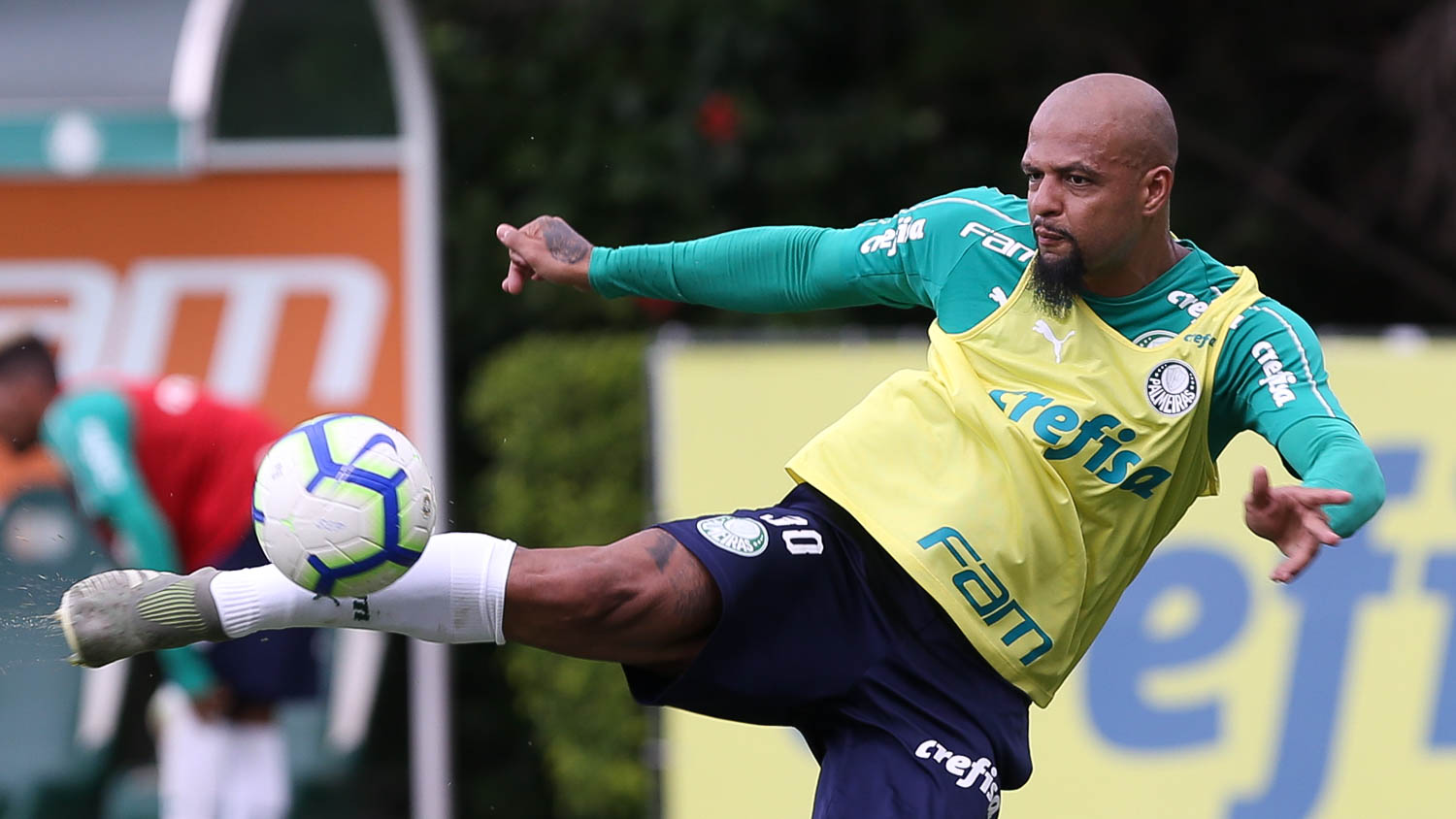 Imagem ilustrativa para a matéria