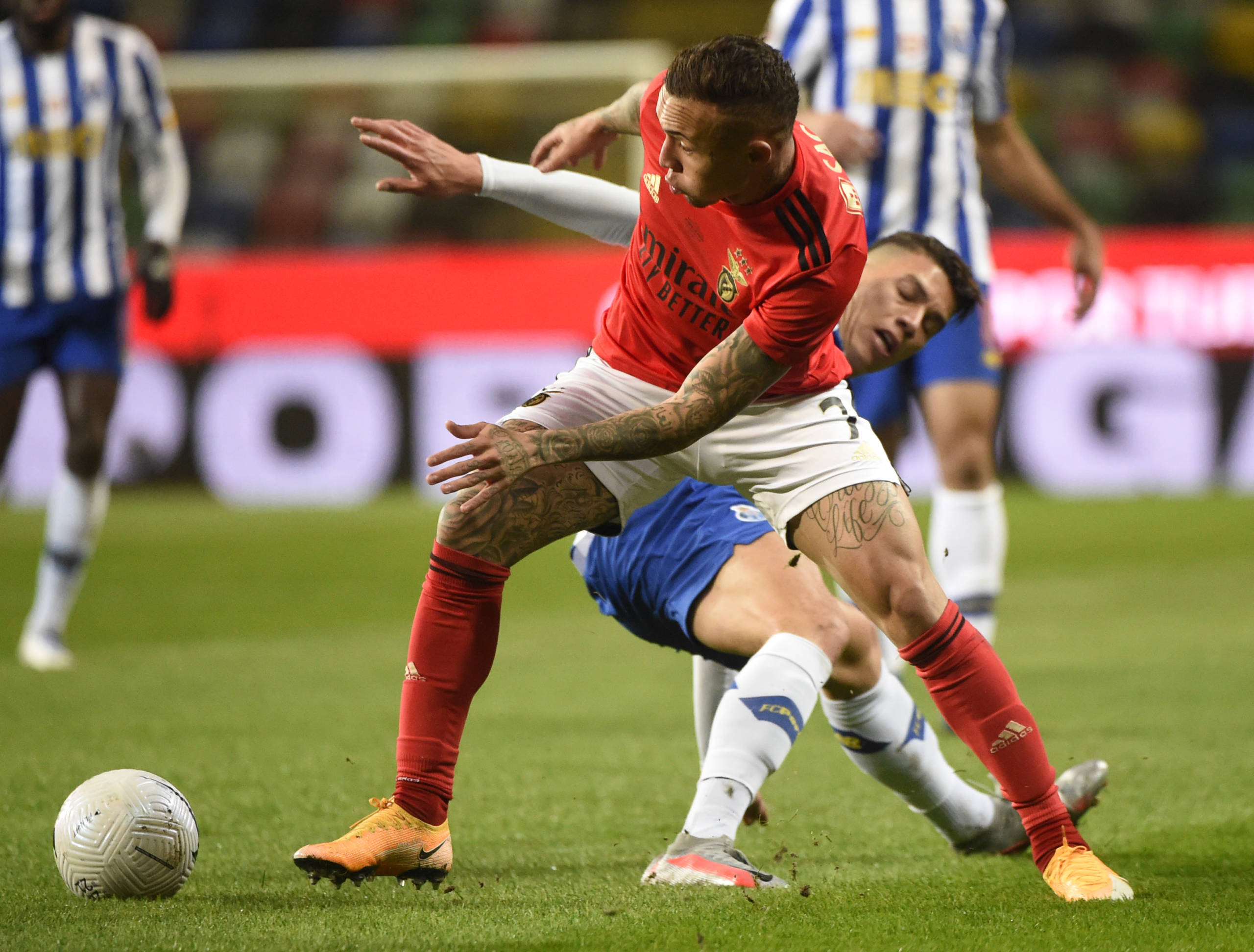 Imagem ilustrativa para a matéria