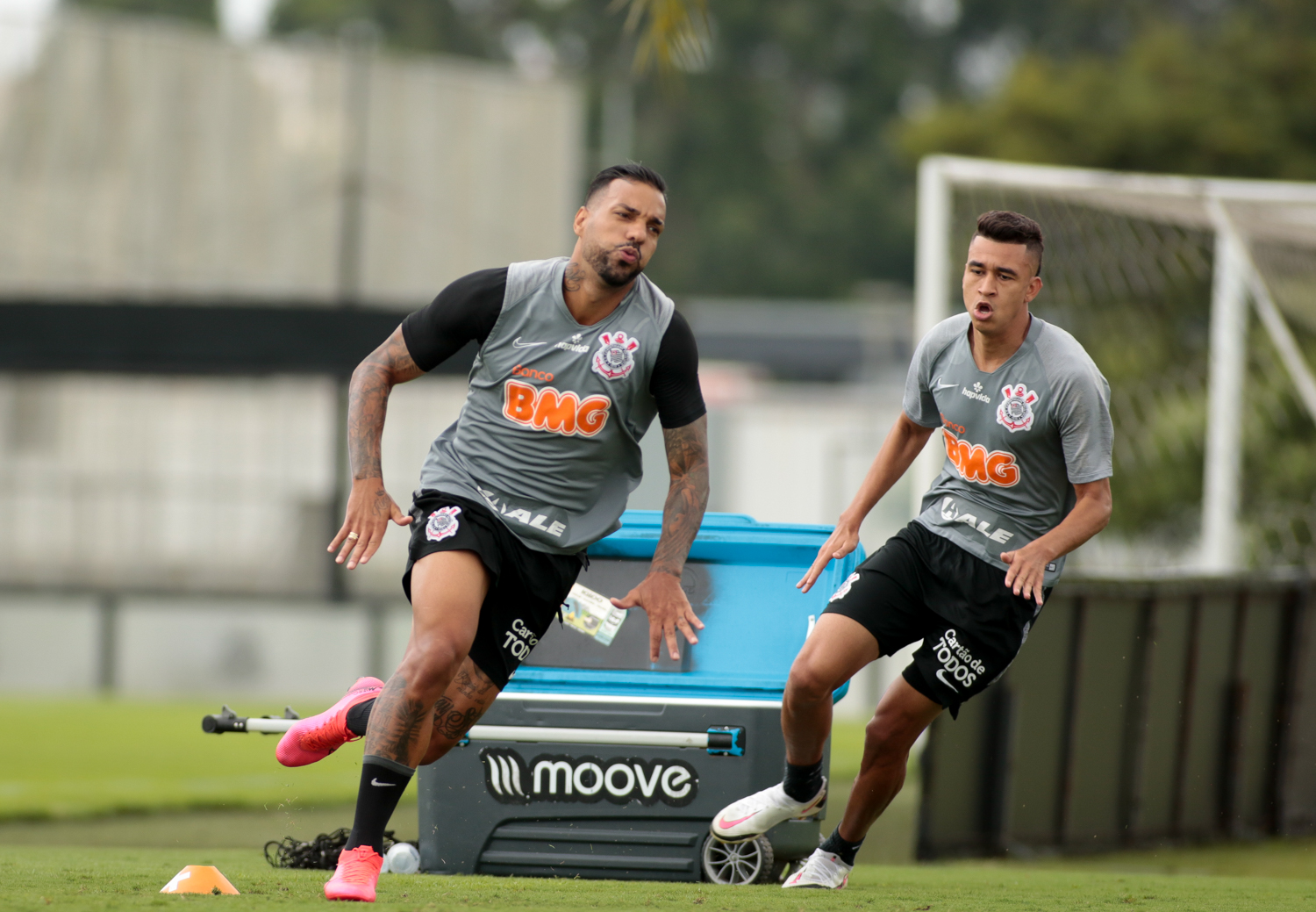 Imagem ilustrativa para a matéria