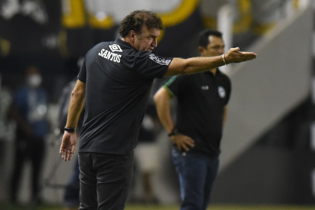 Imagem ilustrativa para a matéria