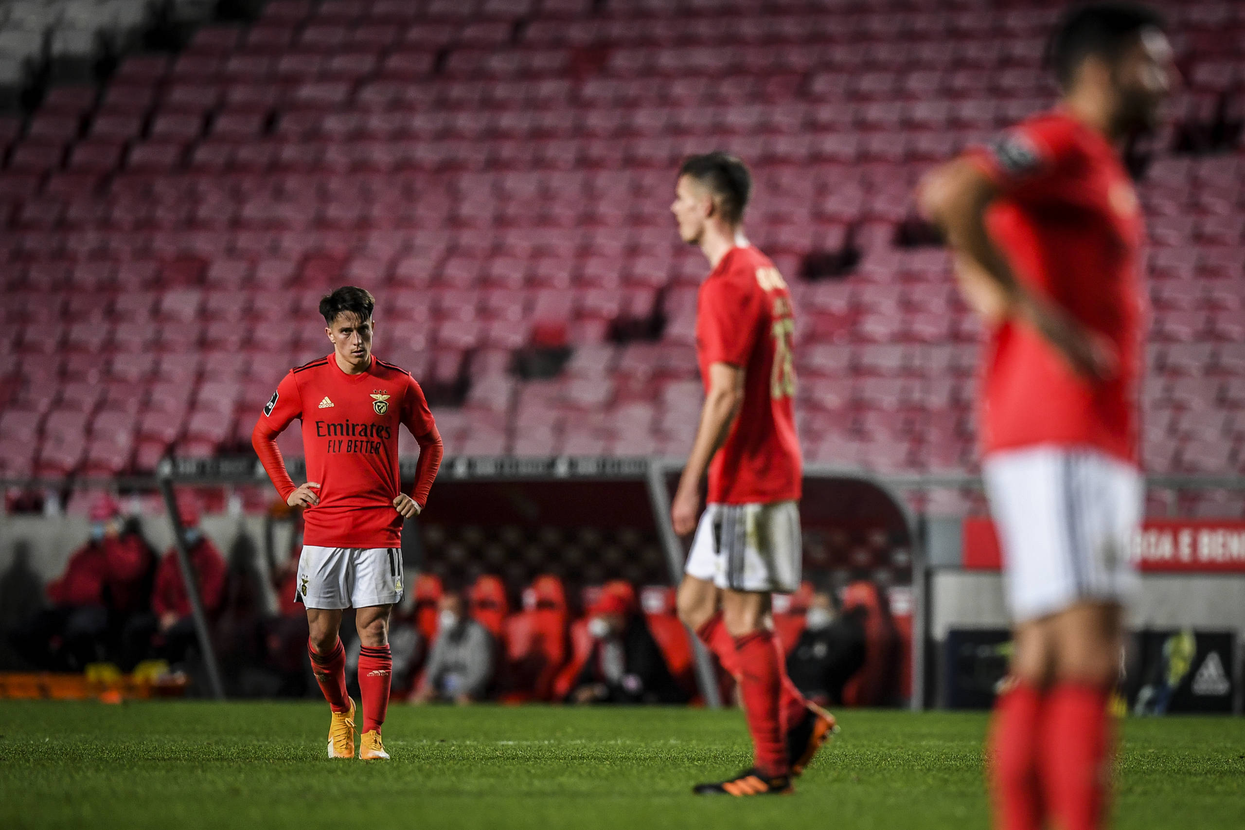 Imagem ilustrativa para a matéria