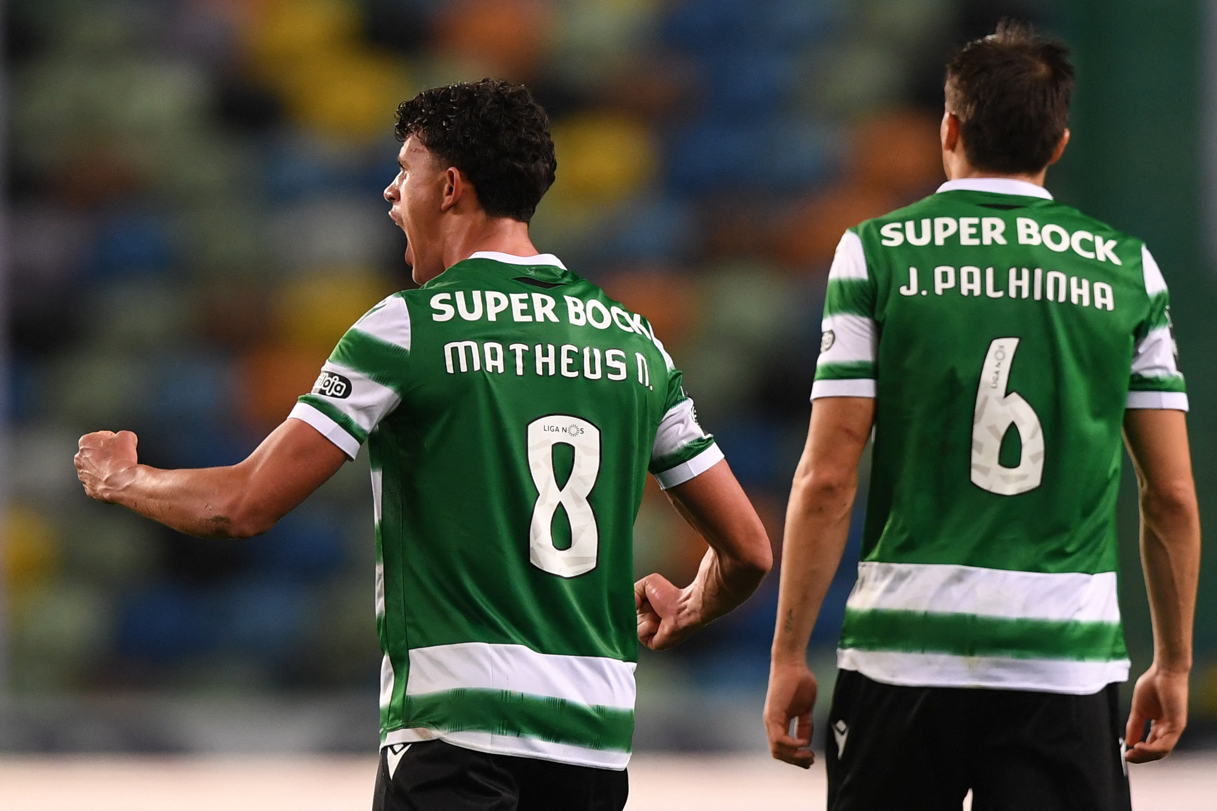 Imagem ilustrativa para a matéria