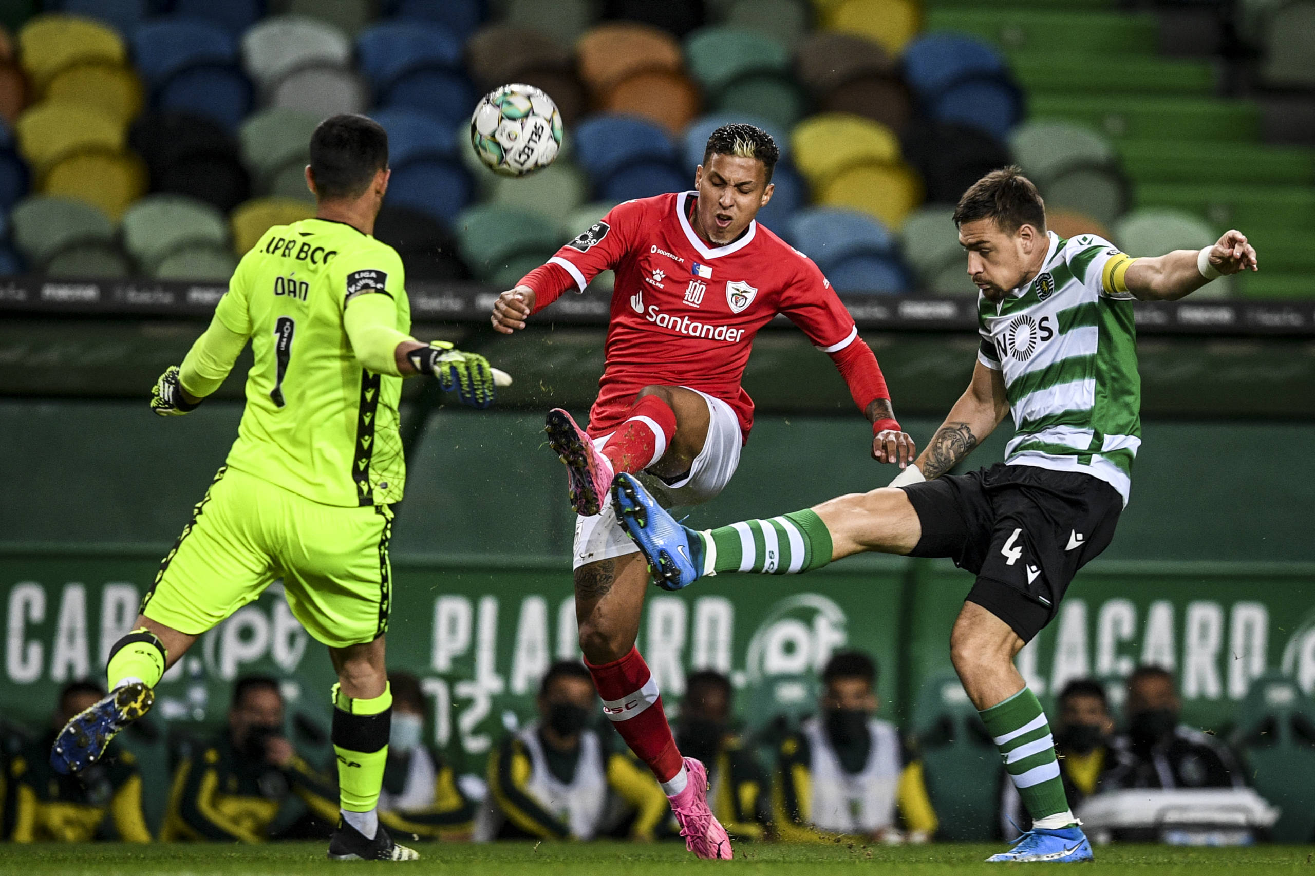 Confira fotos de Sporting x Santa Clara pelo Campeonato Português ...