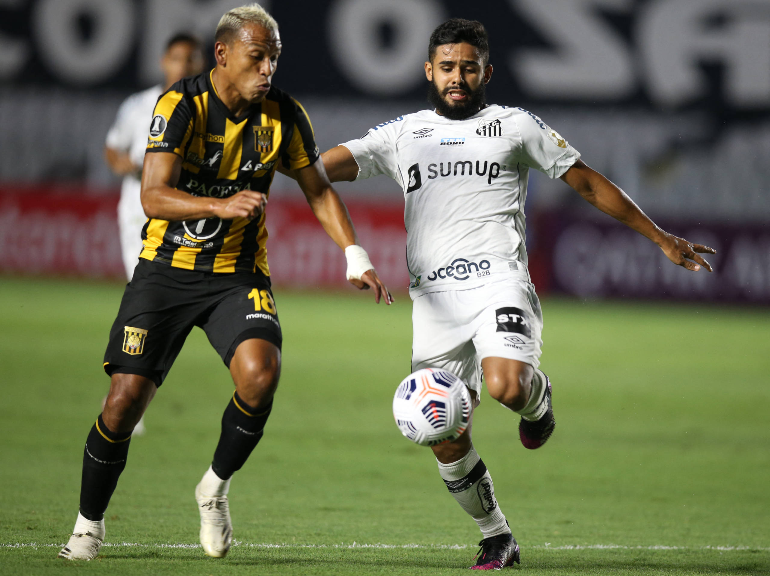 Imagem ilustrativa para a matéria