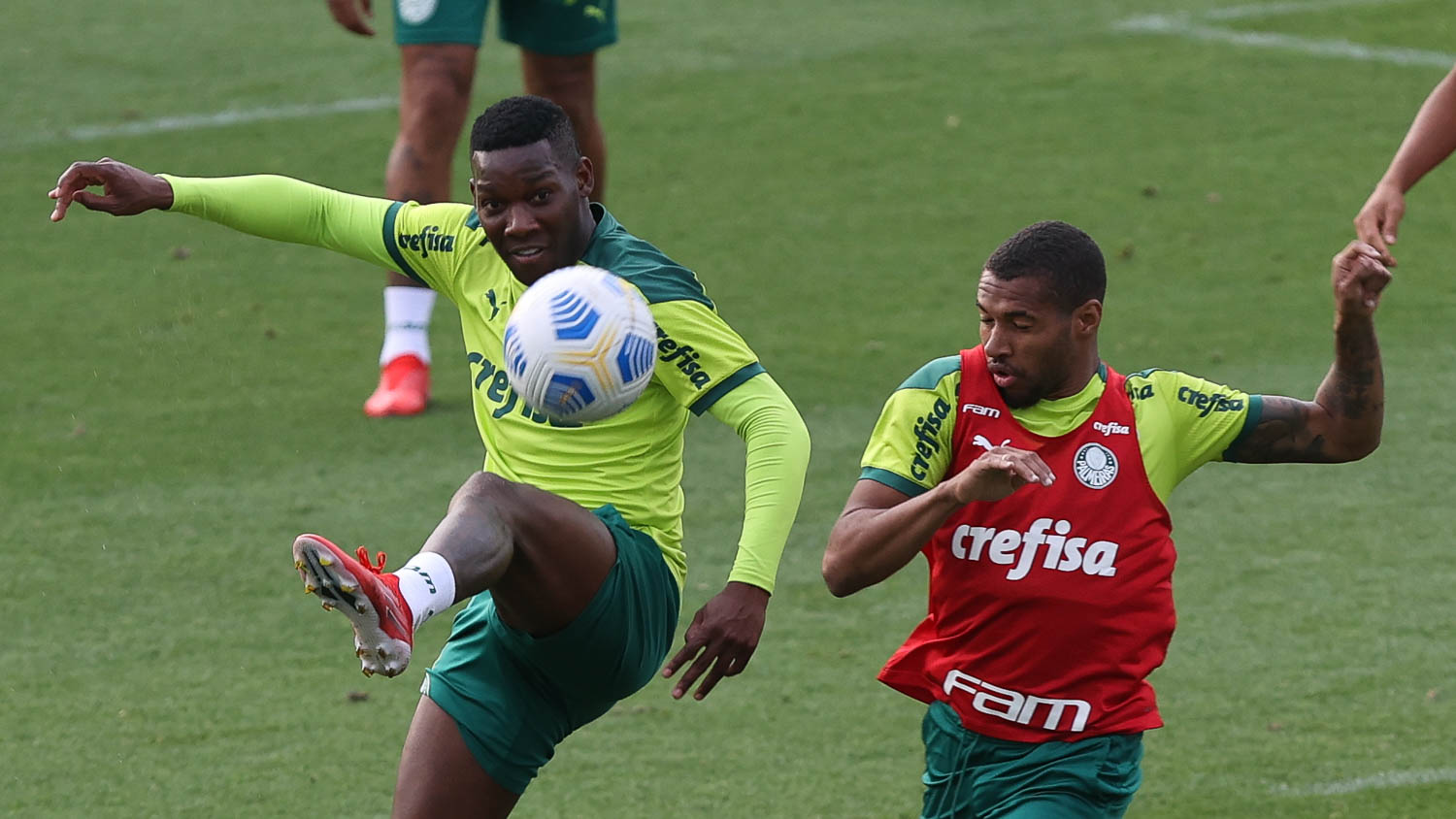 Imagem ilustrativa para a matéria