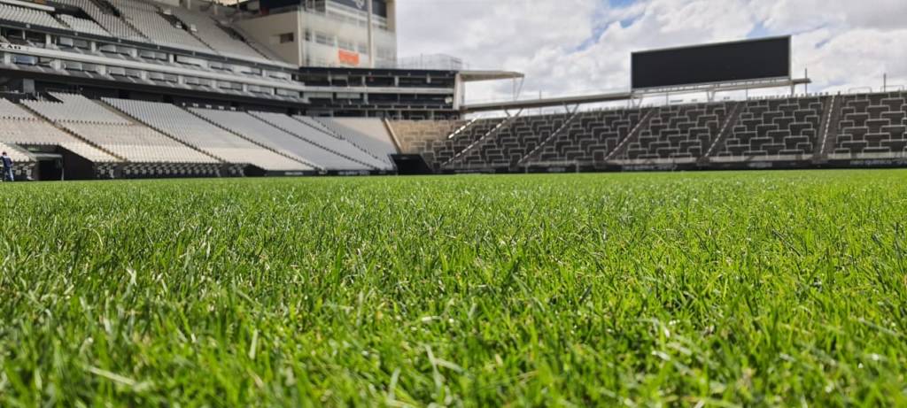 Veja as fotos da reforma no gramado da Arena do Corinthians - Gazeta ...
