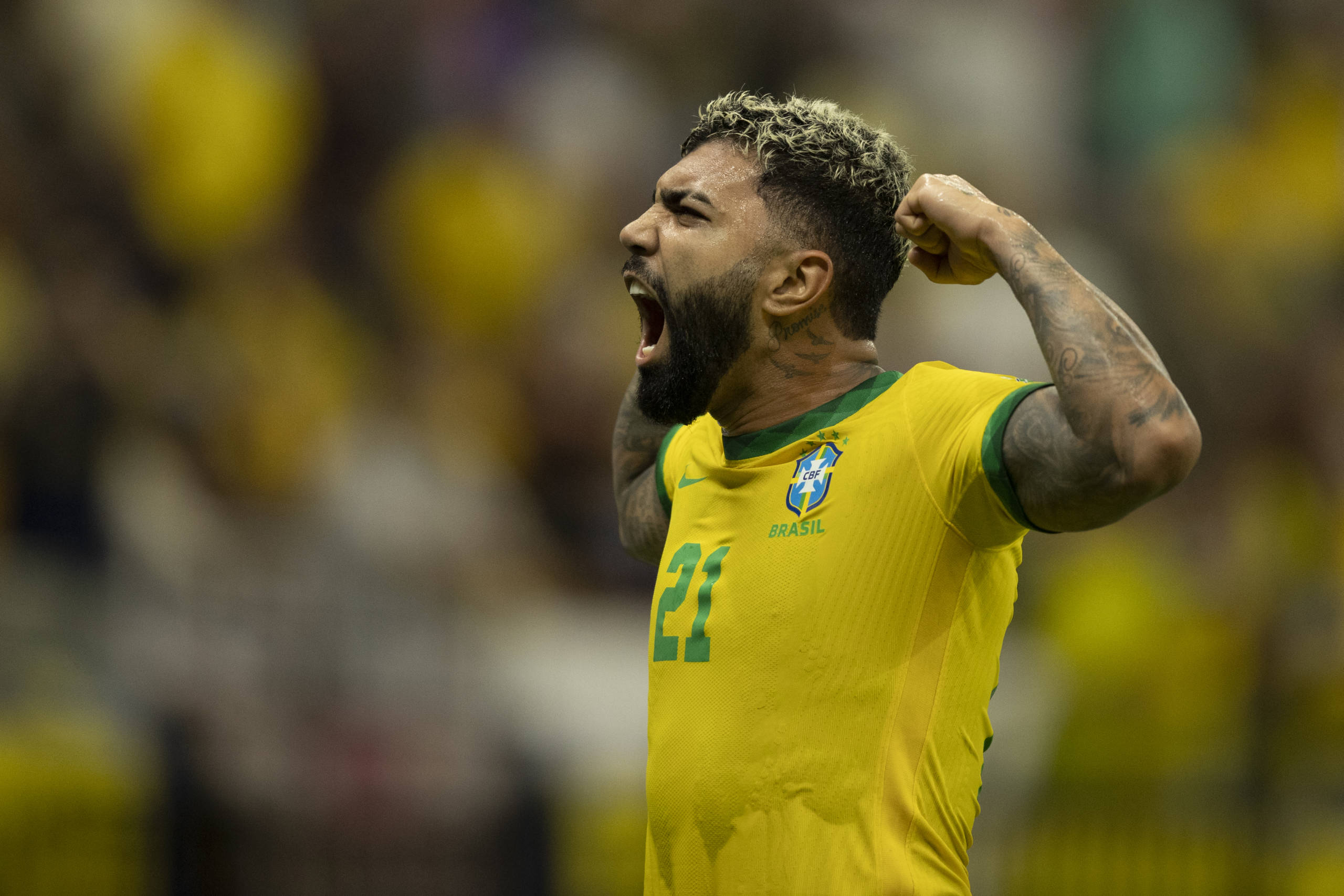 Imagem ilustrativa para a matéria