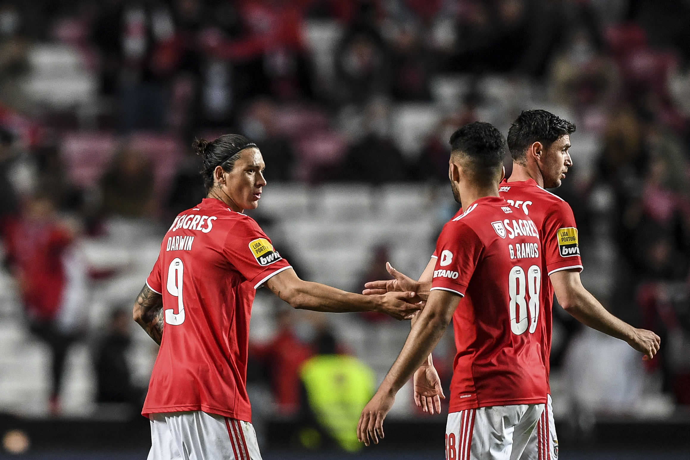 Imagem ilustrativa para a matéria