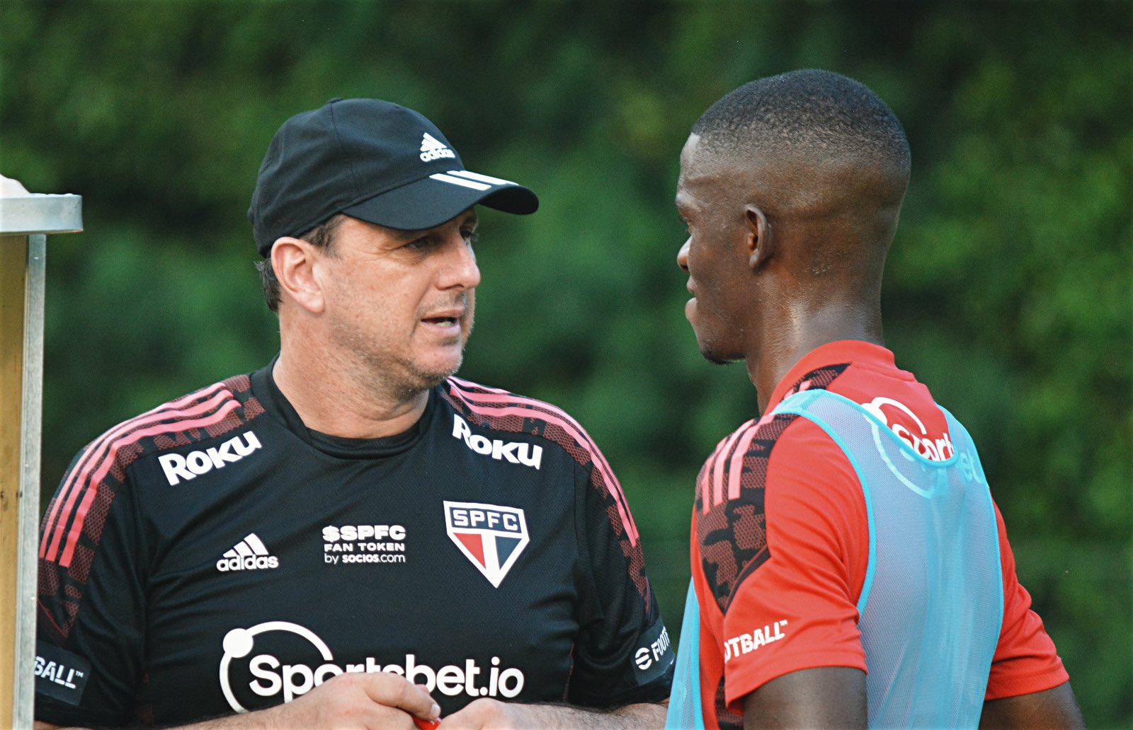 Imagem ilustrativa para a matéria