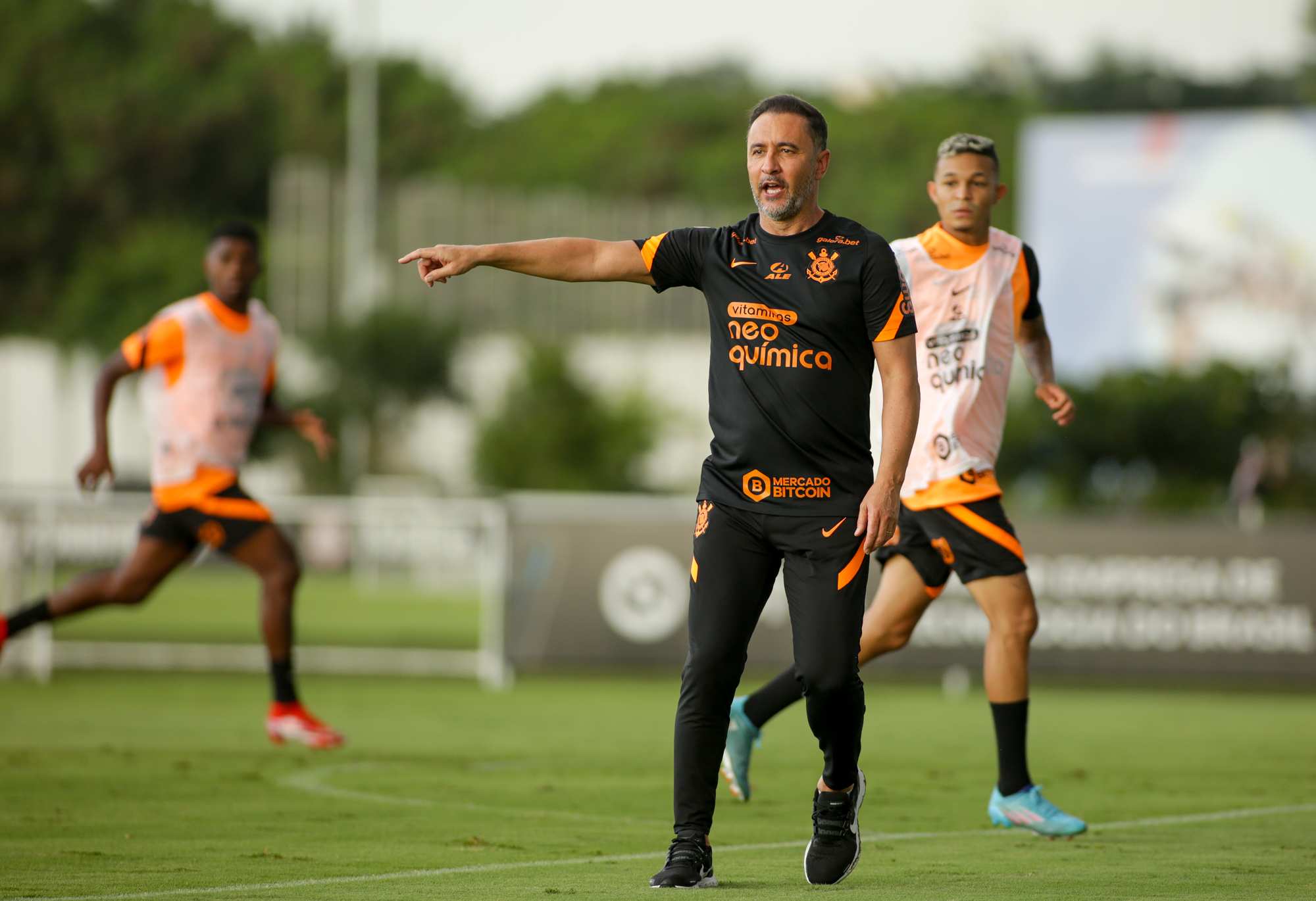 Imagem ilustrativa para a matéria