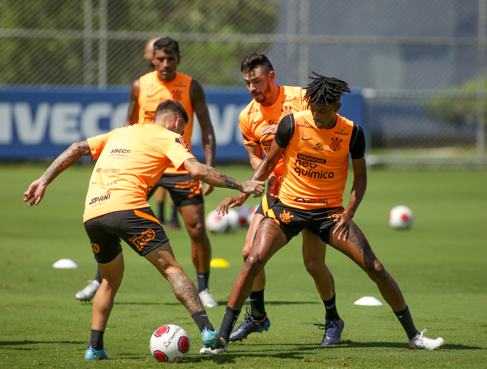 Imagem ilustrativa para a matéria