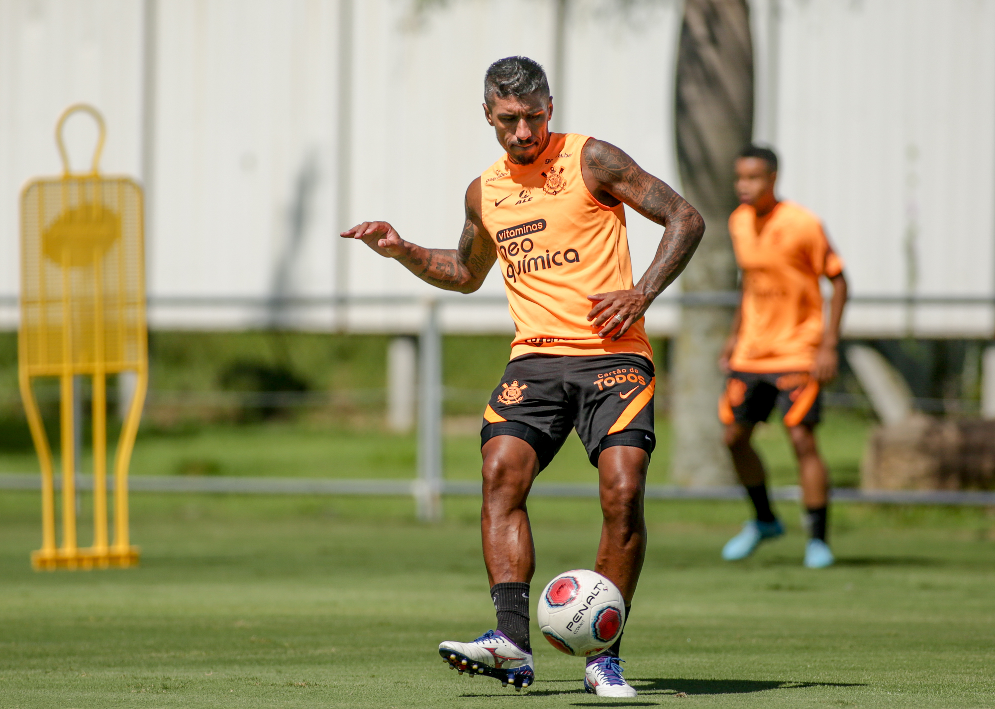 Imagem ilustrativa para a matéria