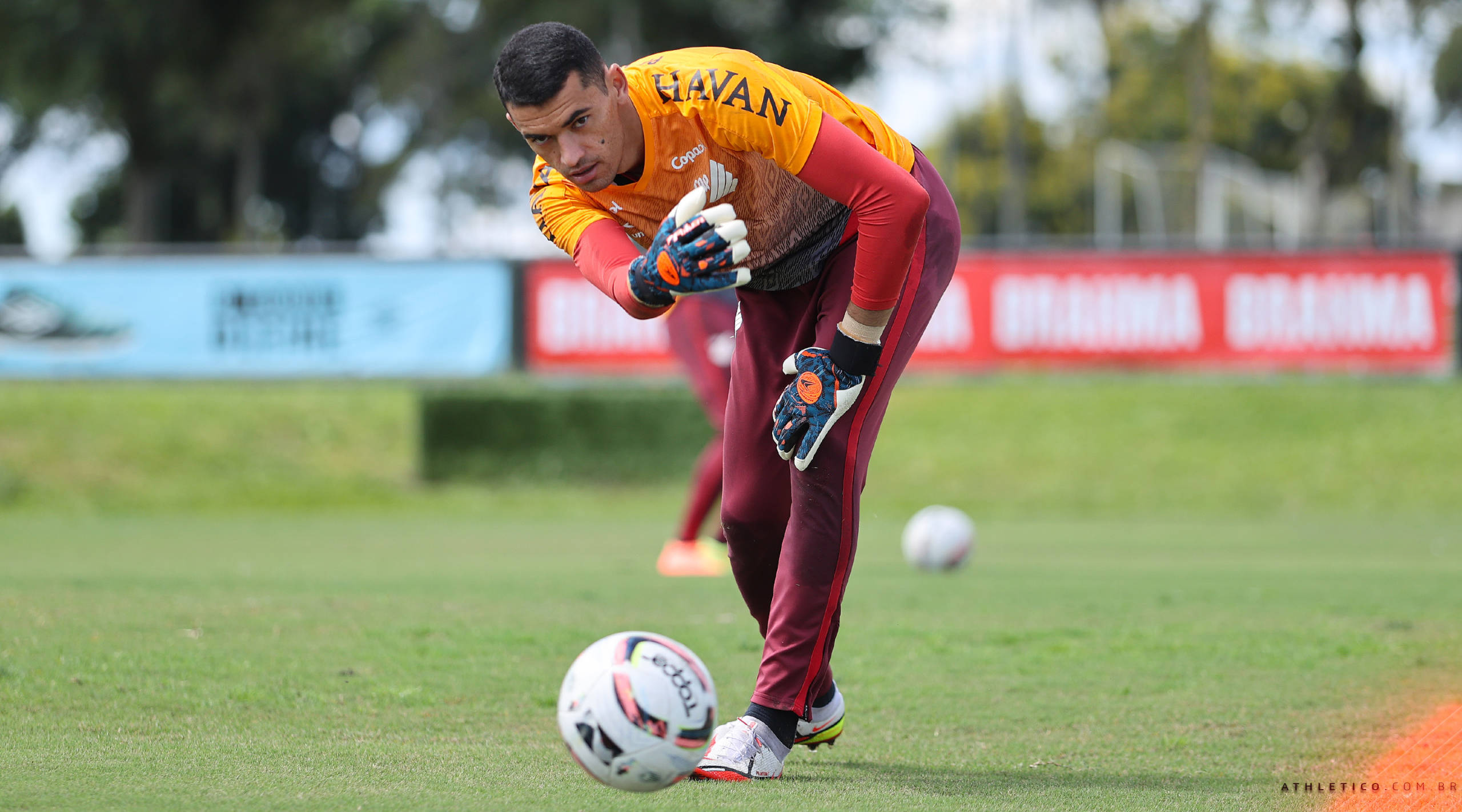 Imagem ilustrativa para a matéria