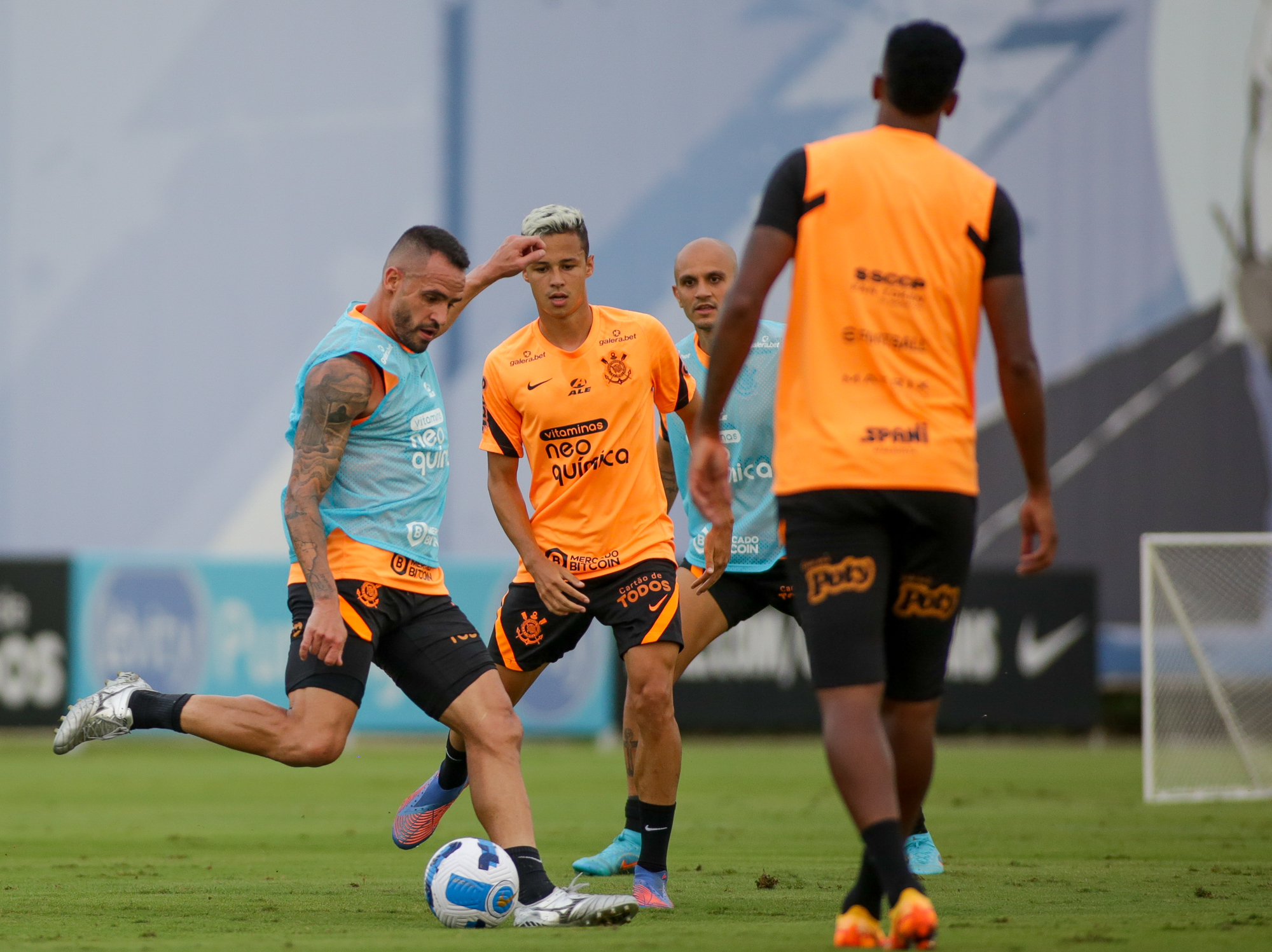 Imagem ilustrativa para a matéria