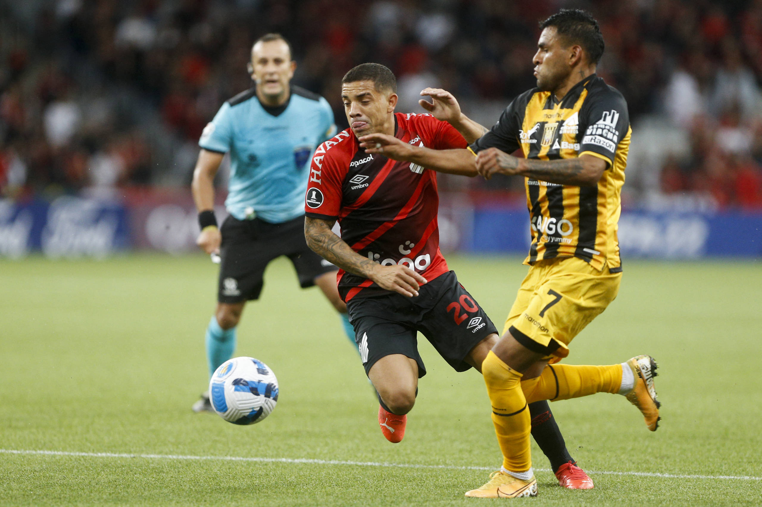 Imagem ilustrativa para a matéria