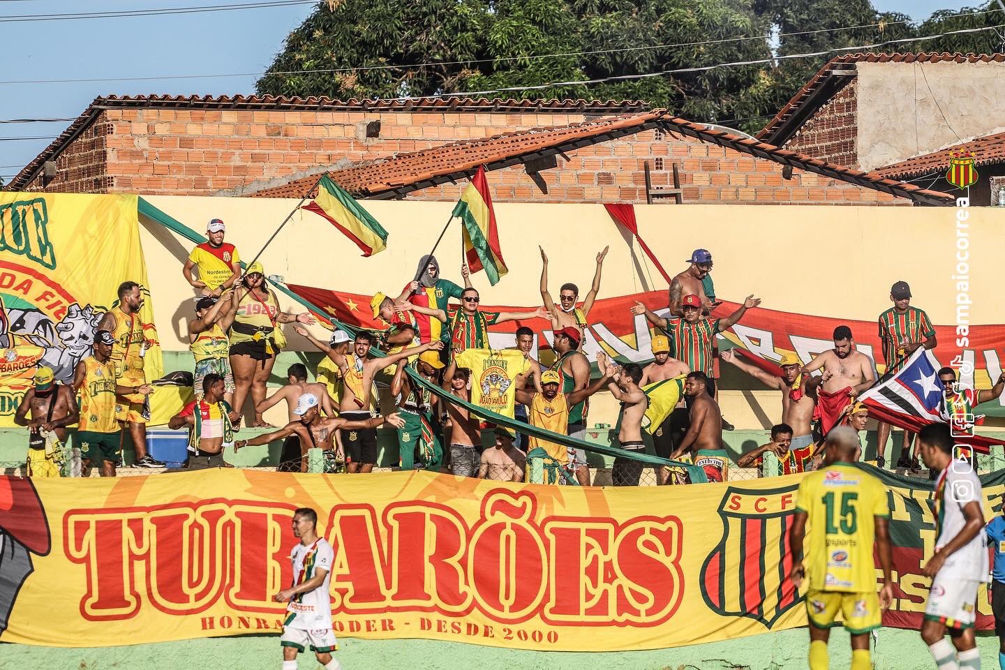 Imagem ilustrativa para a matéria