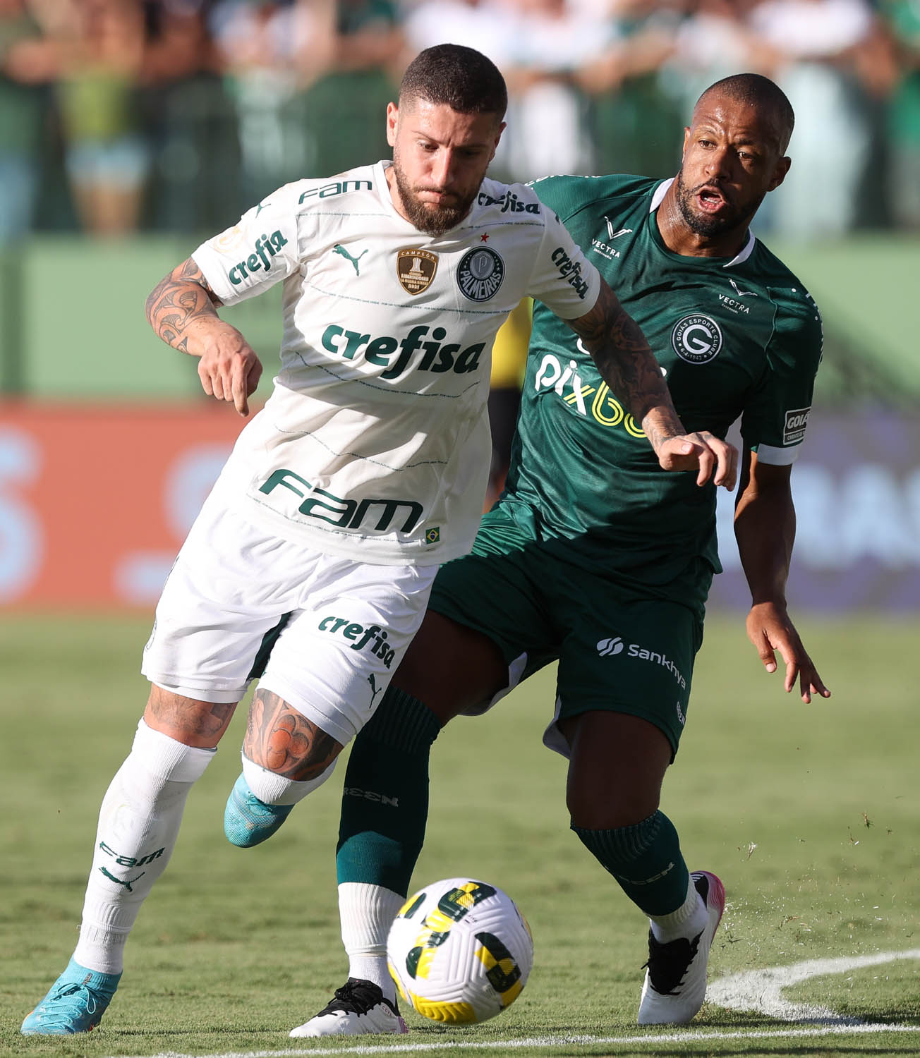 Imagem ilustrativa para a matéria