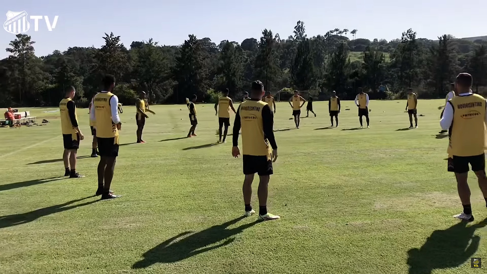 Imagem ilustrativa para a matéria