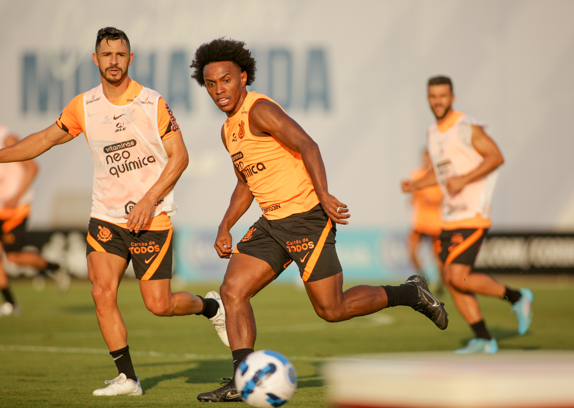 Imagem ilustrativa para a matéria