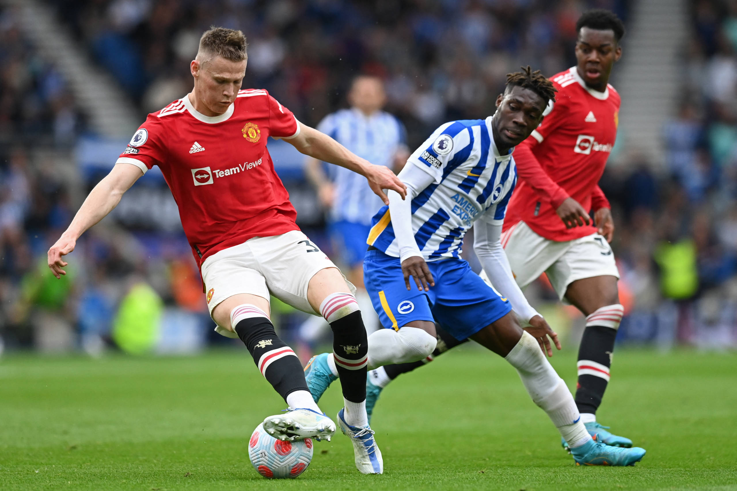 Veja fotos de Brighton x Manchester United pelo Campeonato Inglês ...