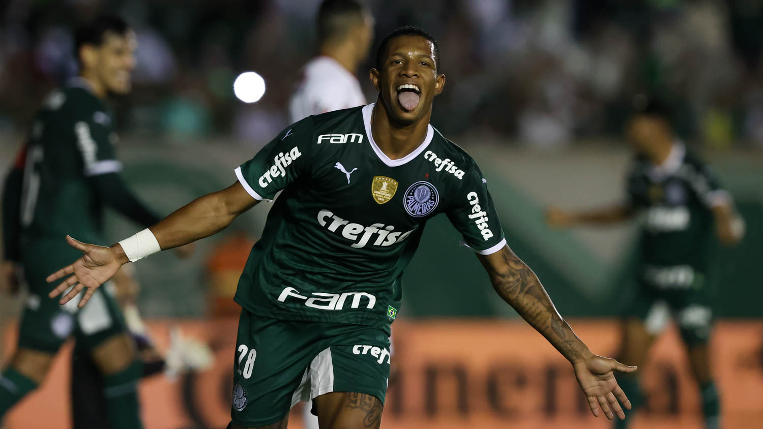 Imagem ilustrativa para a matéria