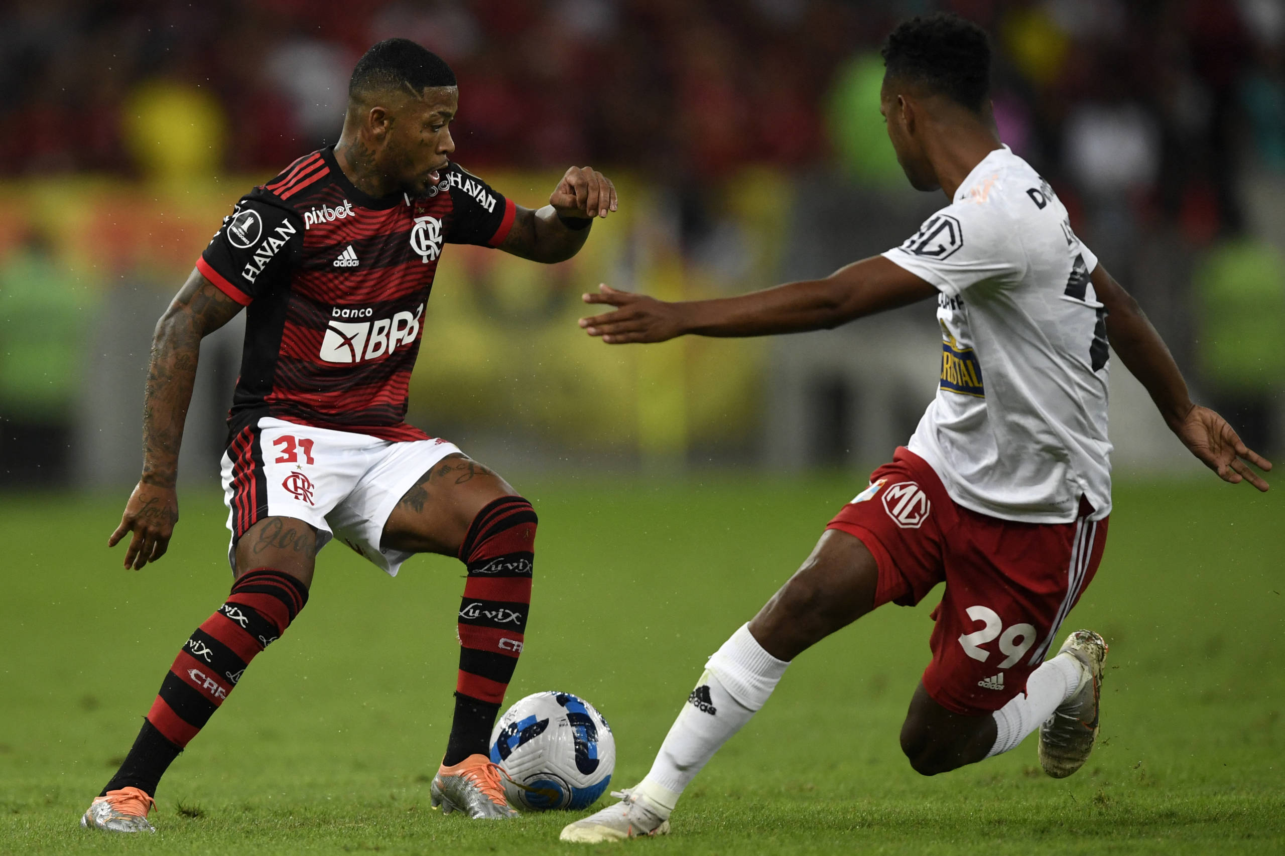 Imagem ilustrativa para a matéria