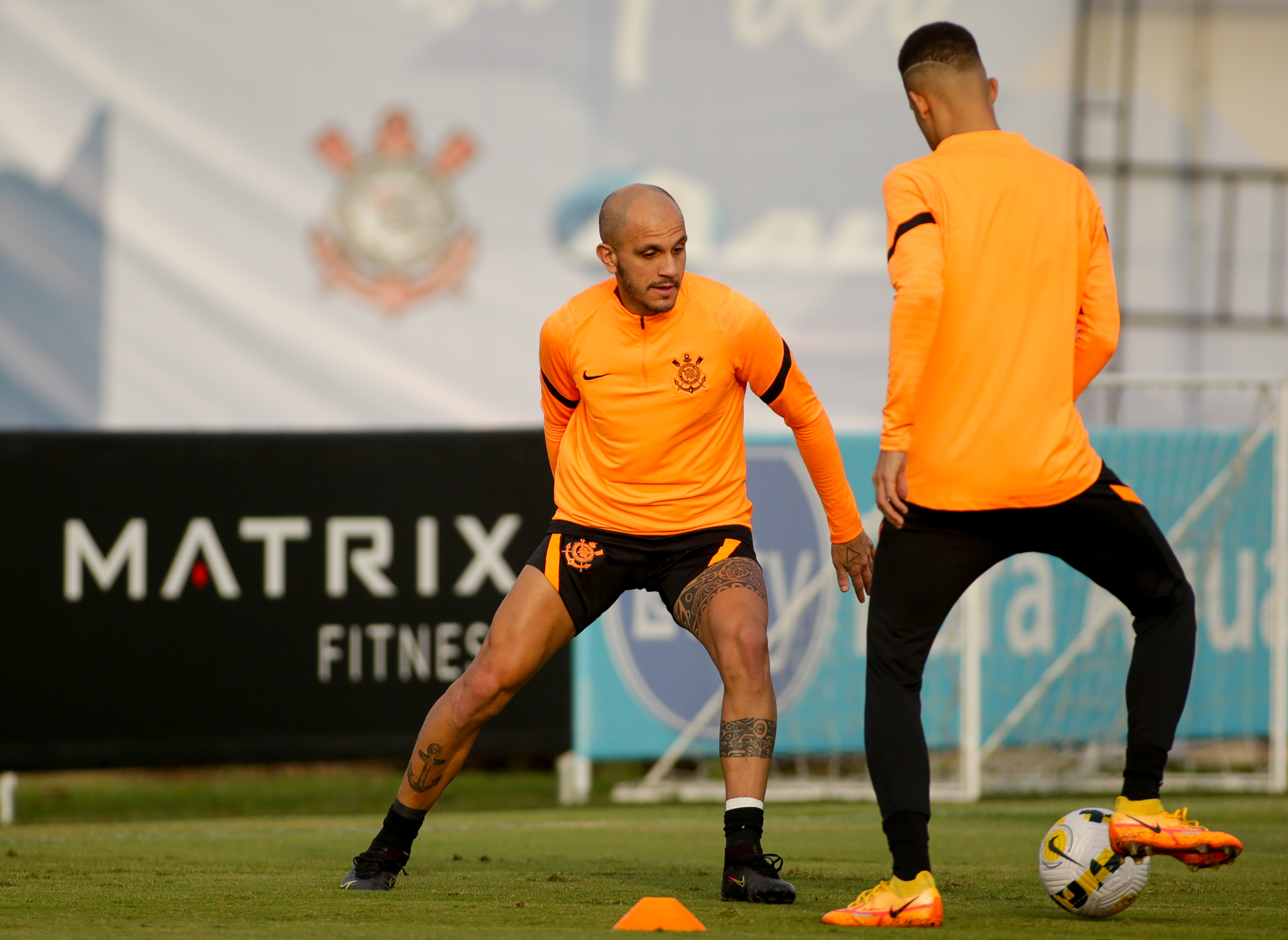 Imagem ilustrativa para a matéria