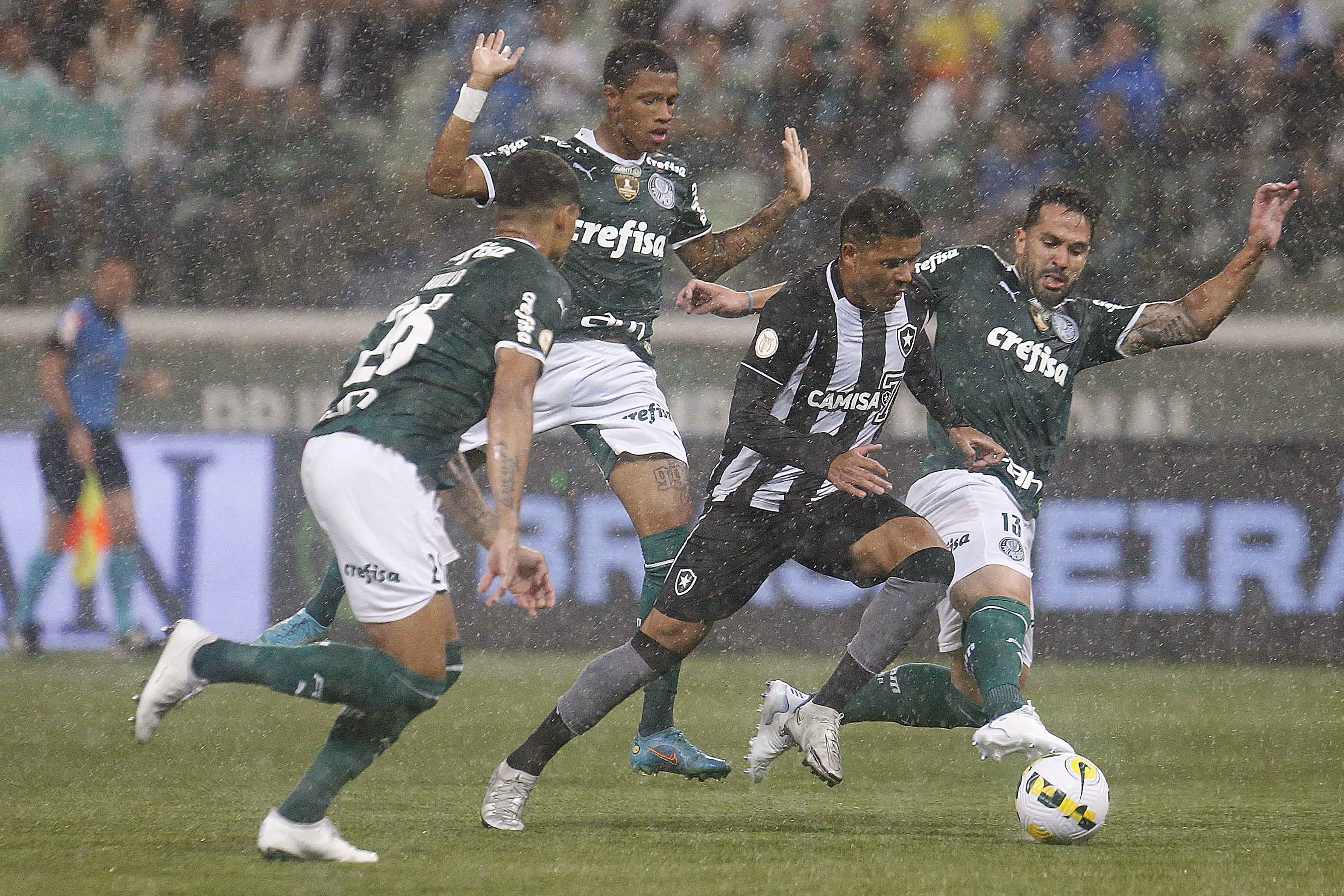 Veja fotos de Palmeiras x Botafogo pelo Campeonato Brasileiro - Gazeta ...