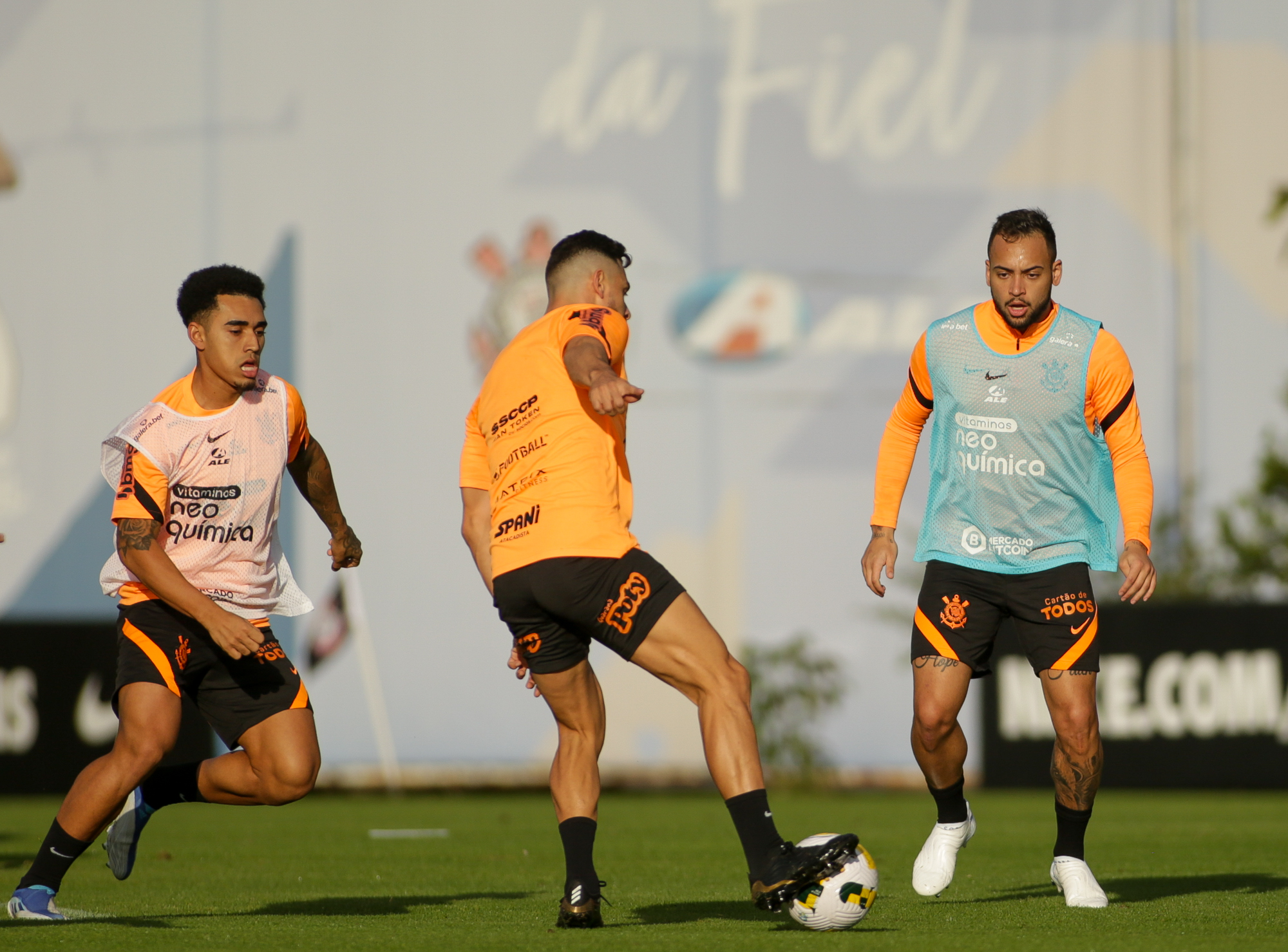 Imagem ilustrativa para a matéria