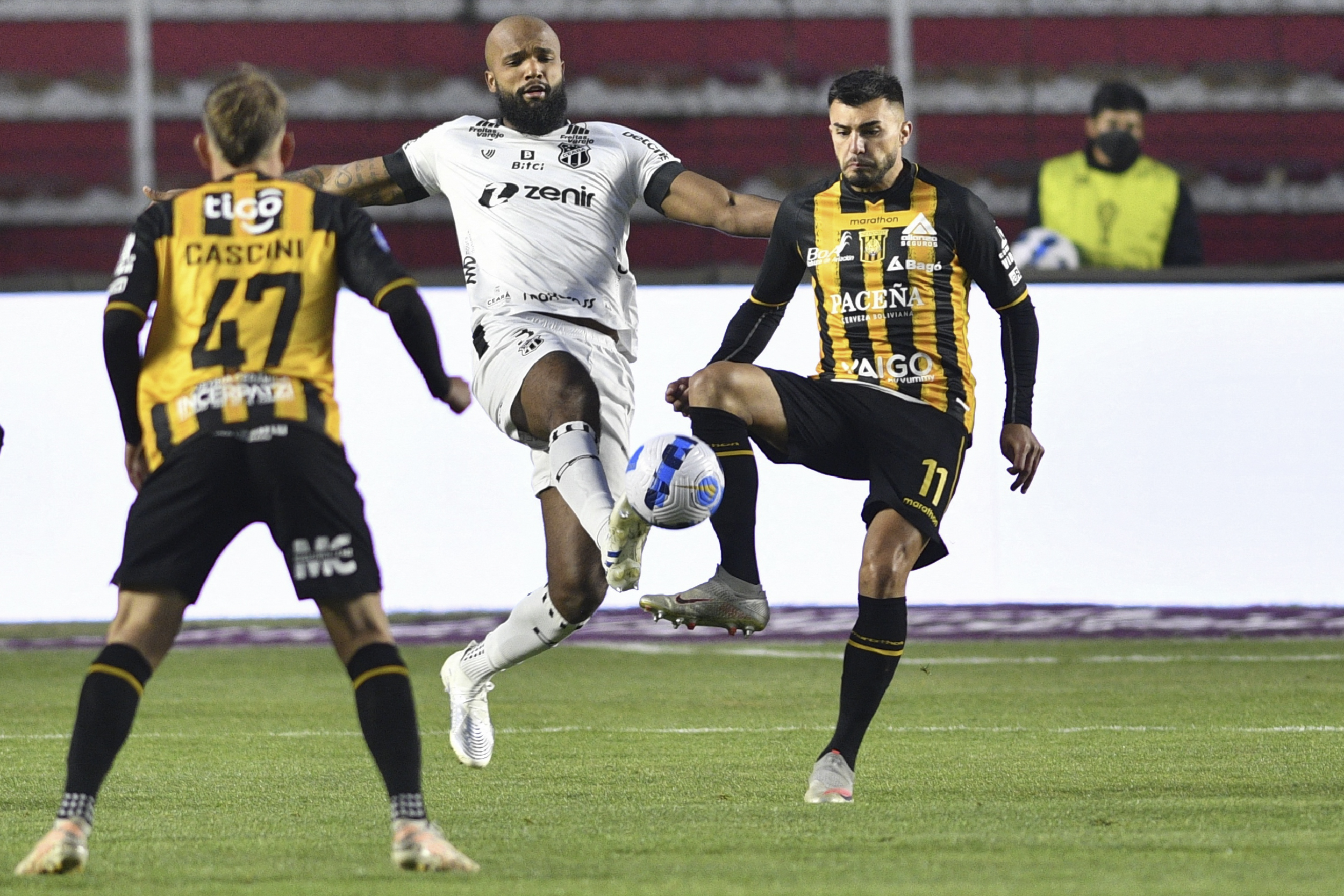 Imagem ilustrativa para a matéria