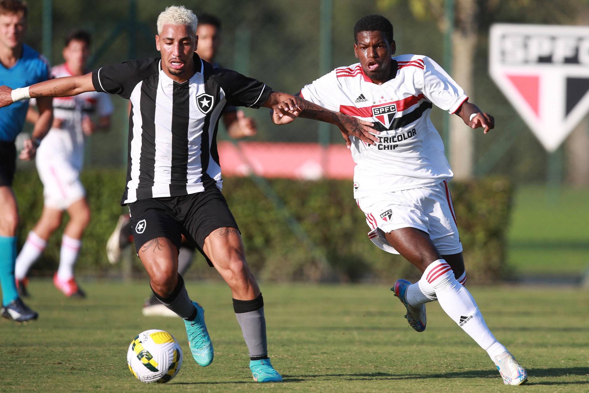 Confira imagens de São Paulo x Botafogo pelo Brasileirão sub-20 ...