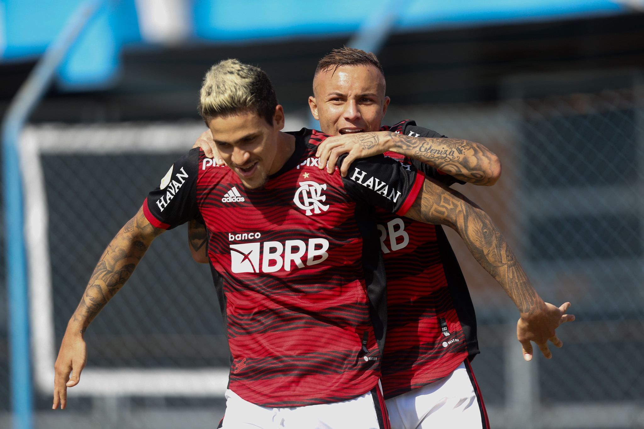 Imagem ilustrativa para a matéria