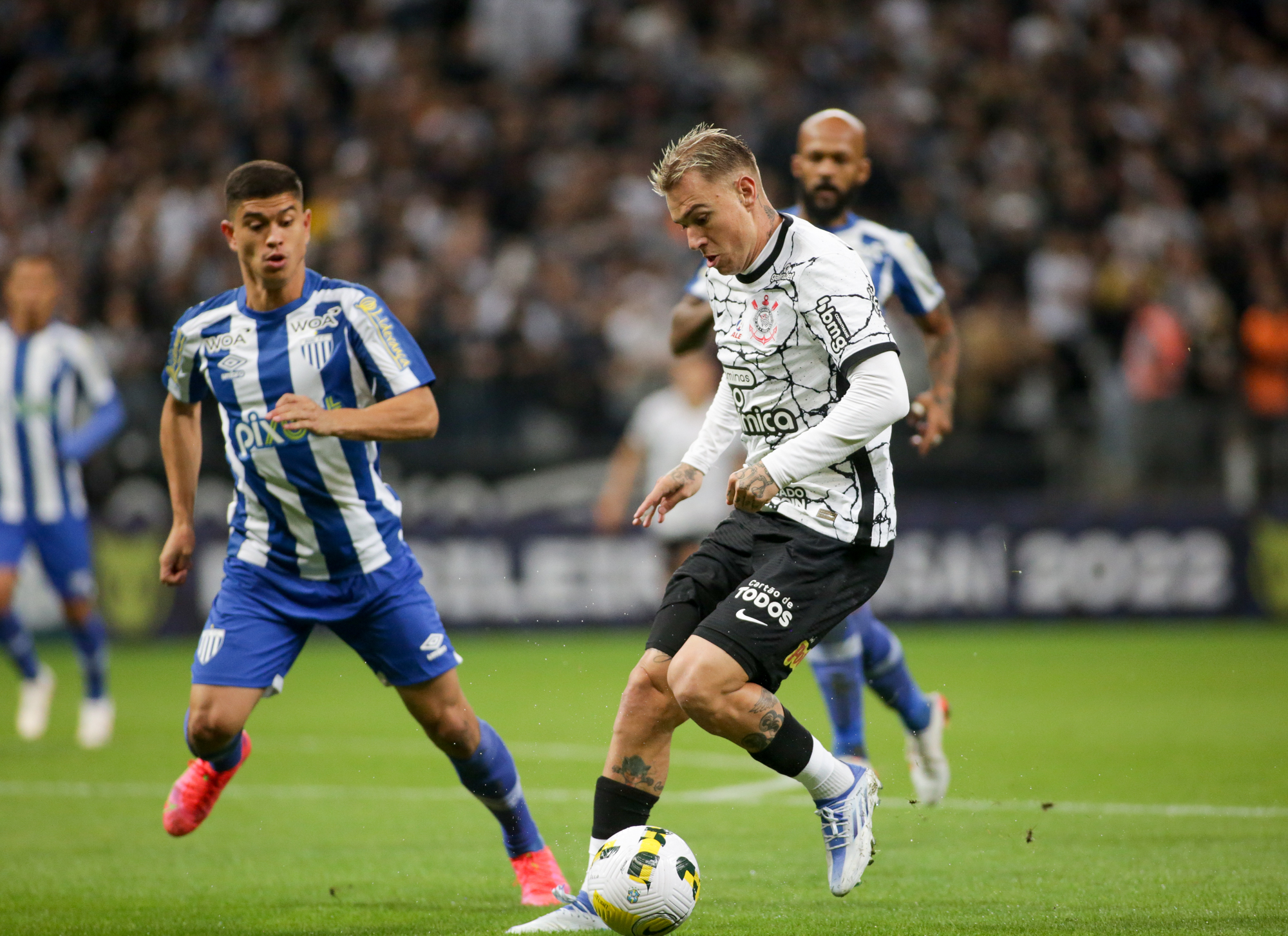 Imagem ilustrativa para a matéria