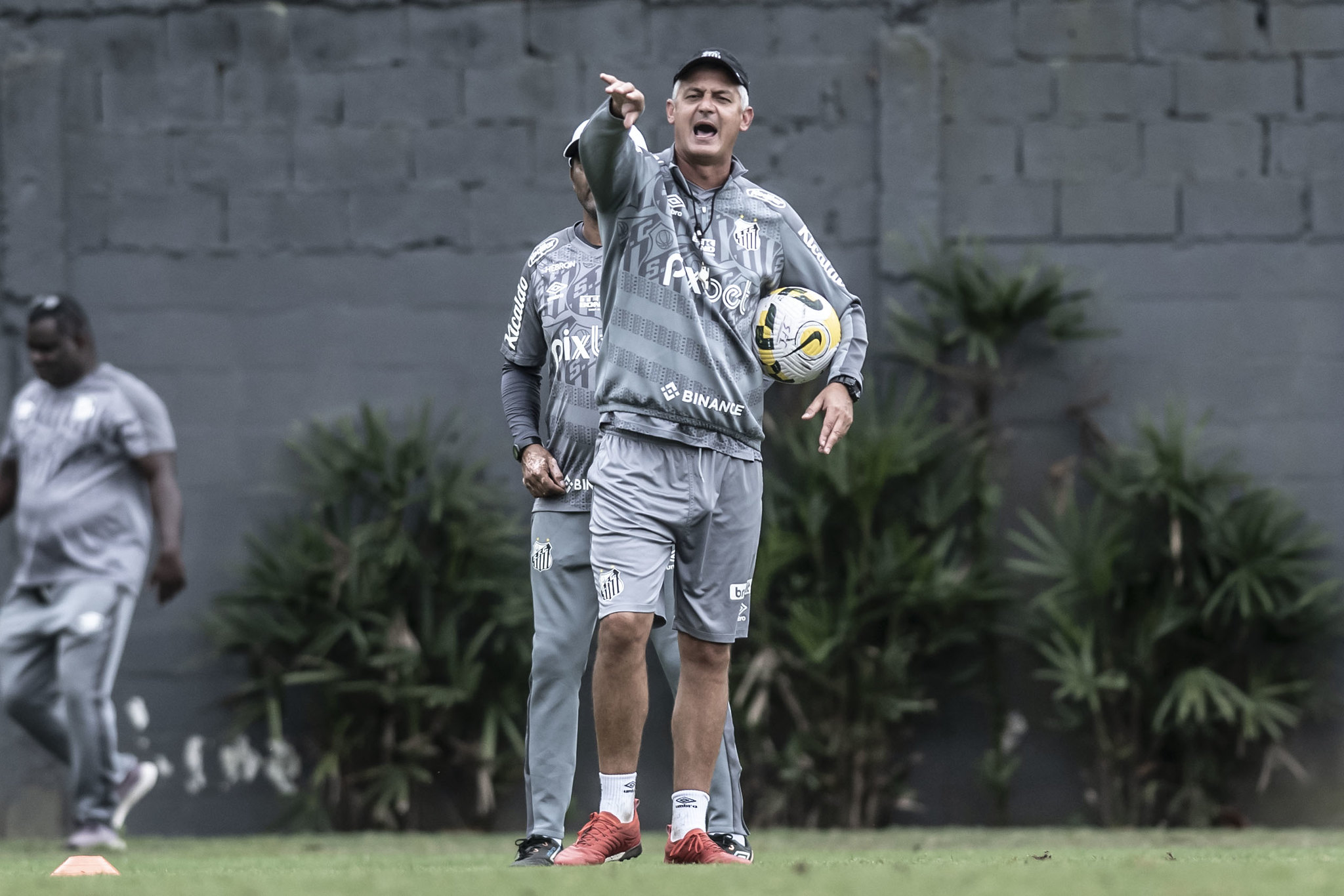 Imagem ilustrativa para a matéria