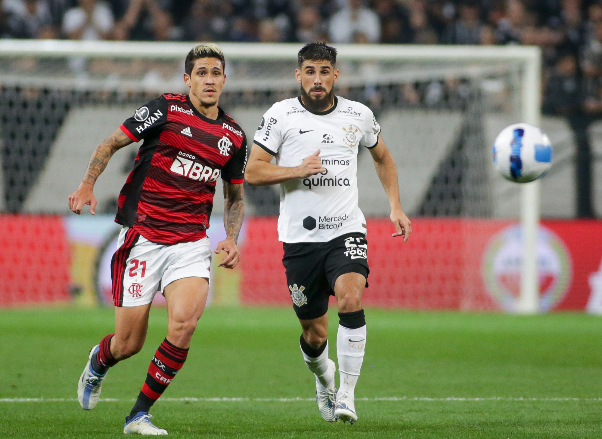 Imagem ilustrativa para a matéria