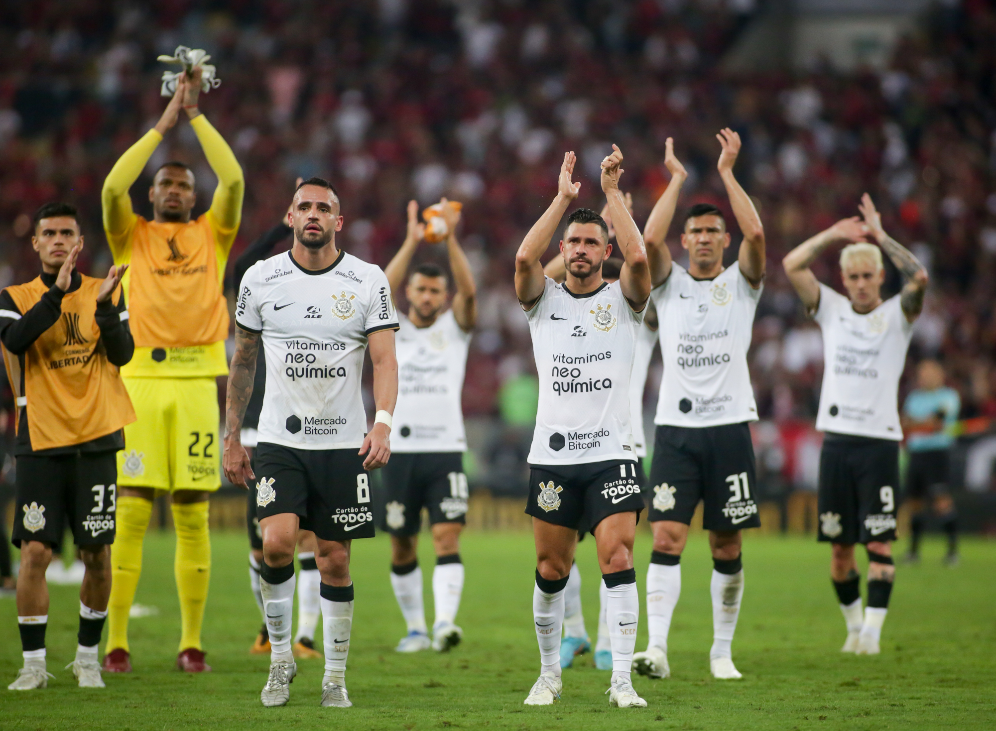 Imagem ilustrativa para a matéria