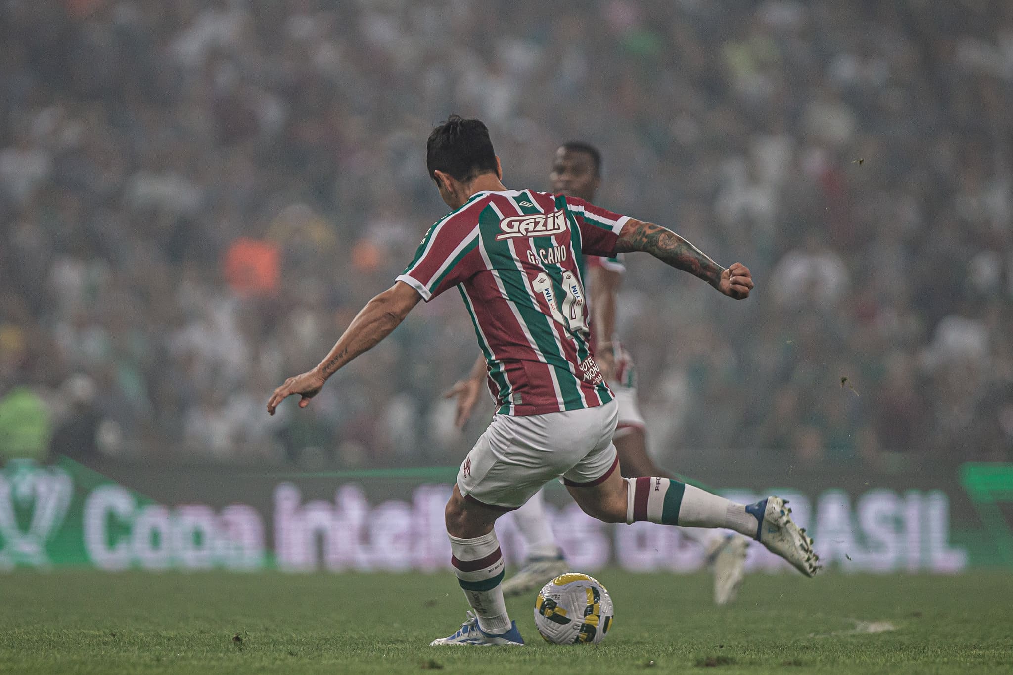 Imagem ilustrativa para a matéria