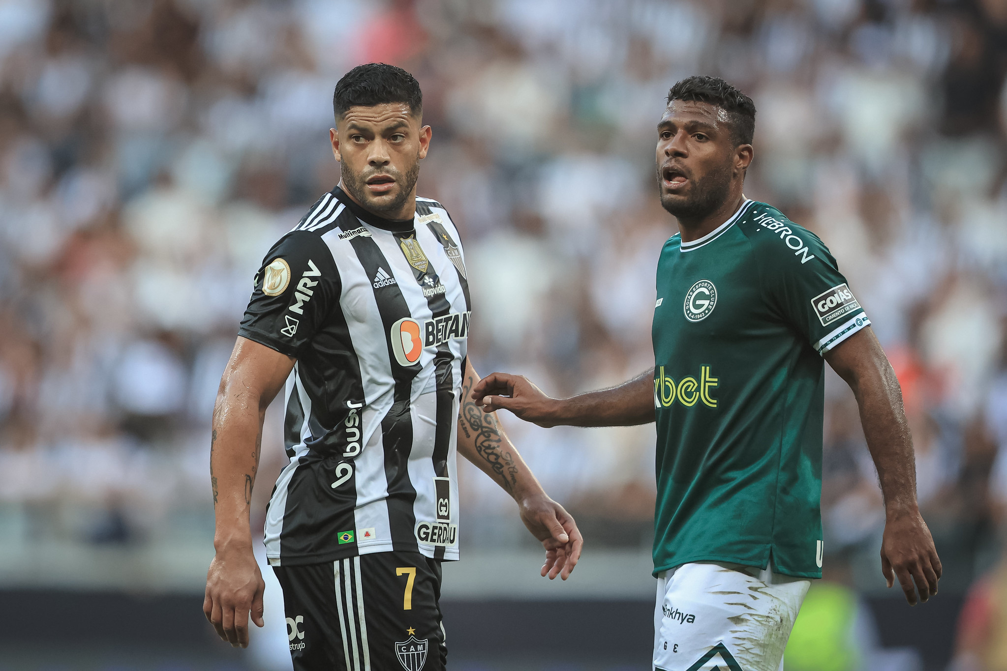 Imagem ilustrativa para a matéria