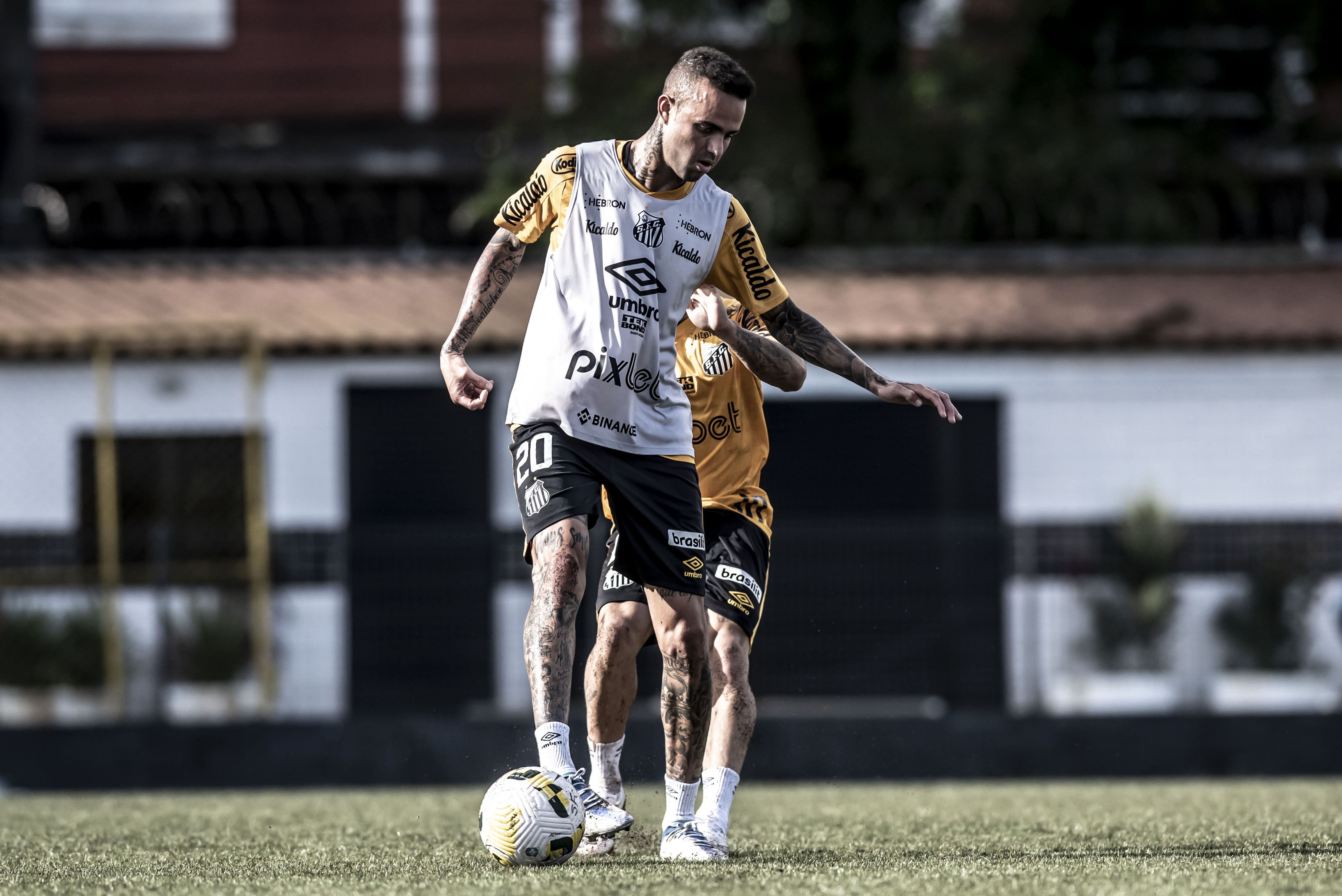 Com Orlando Ribeiro, Luan pode ganhar primeira chance entre os titulares do Santos