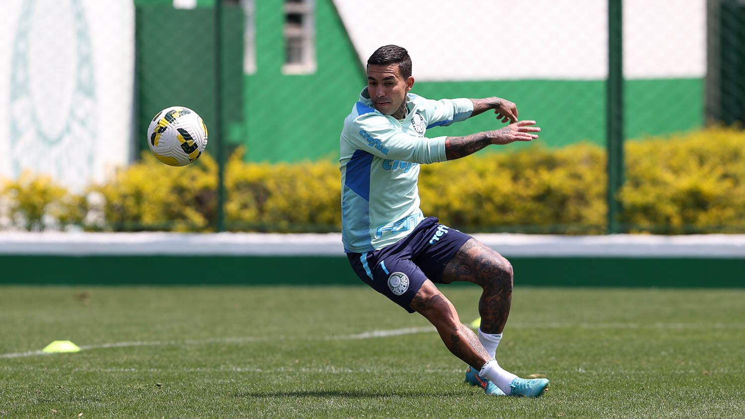 Palmeiras segue preparação para jogo contra o Atlético-MG com treinos táticos e técnicos