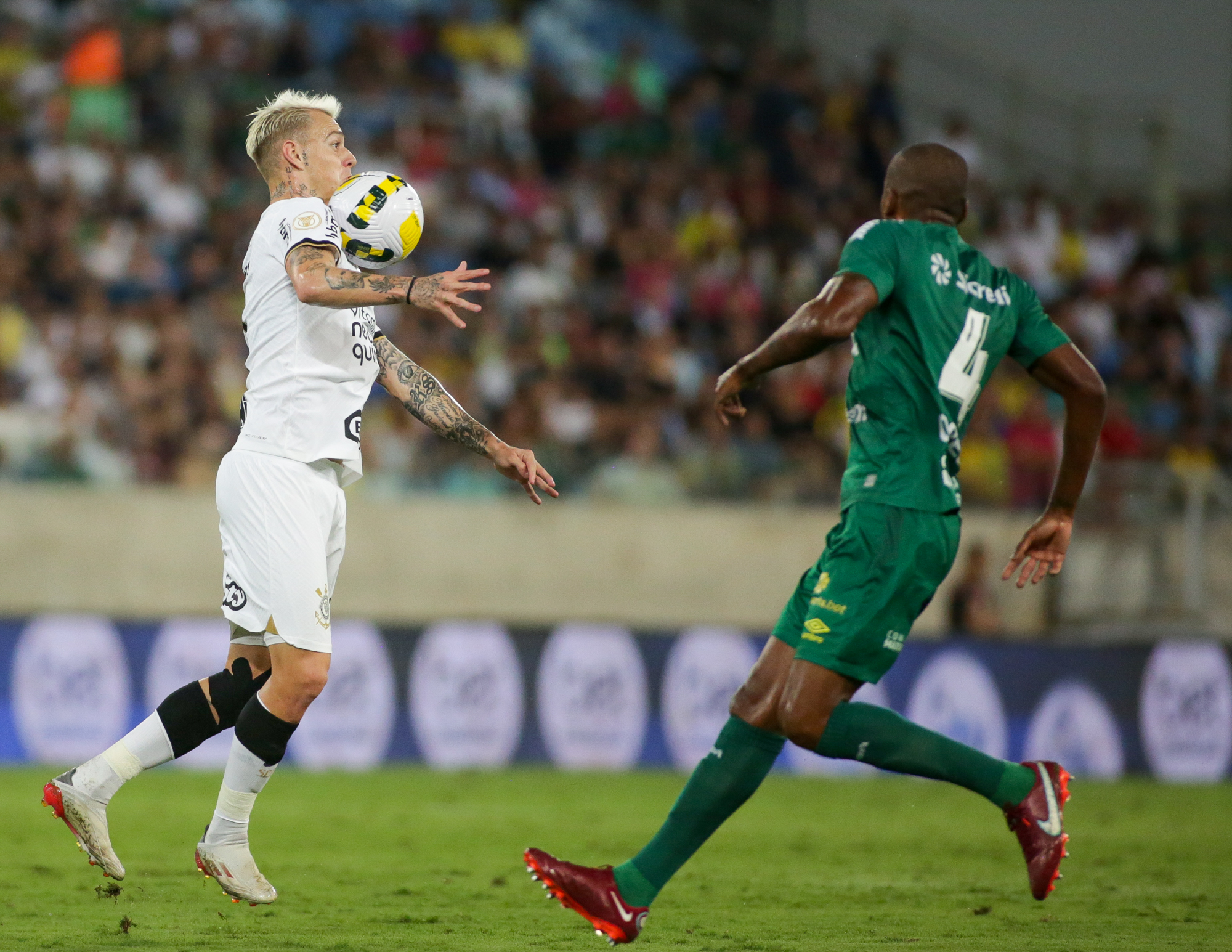 Imagem ilustrativa para a matéria