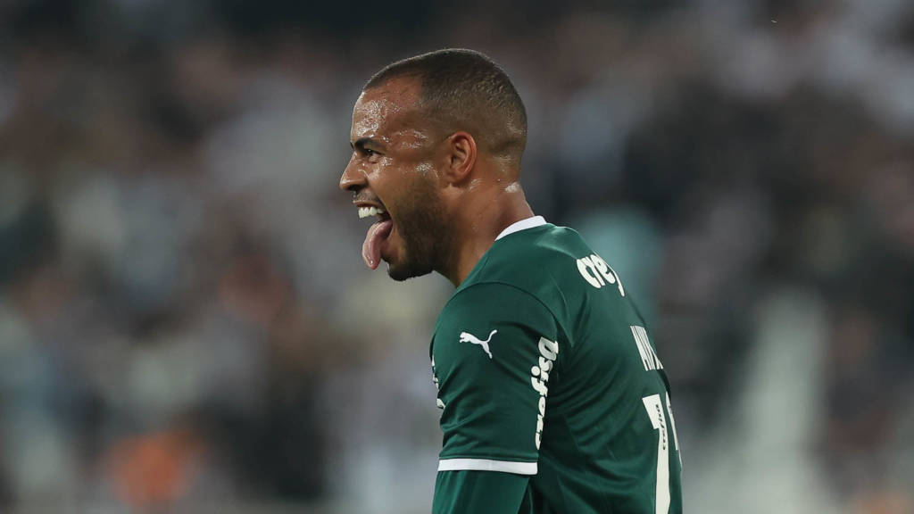Veja atuações do Palmeiras na vitória sobre o Botafogo pelo Brasileirão