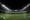 Confira tudo sobre Palmeiras x Coritiba pela 30ª rodada do Campeonato Brasileiro