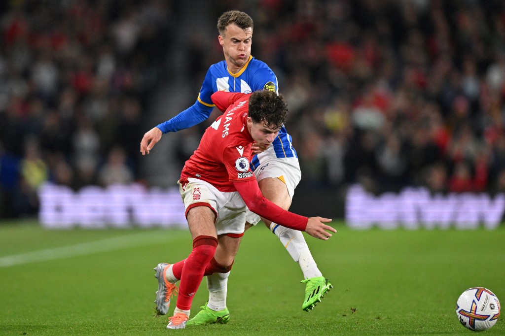 Veja fotos de Brighton e Nottingham Forest pelo Inglês - Gazeta Esportiva