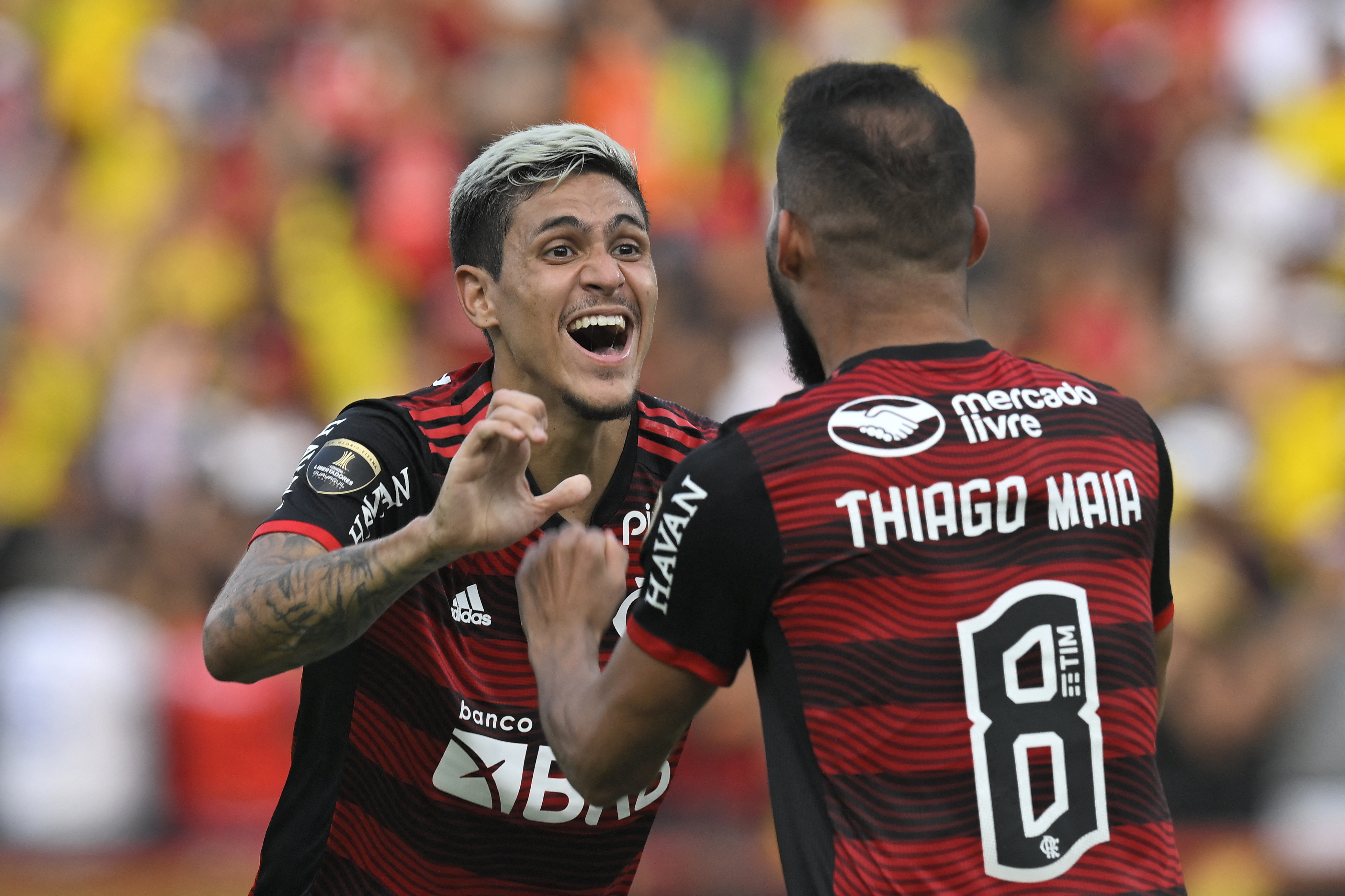 Imagem ilustrativa para a matéria