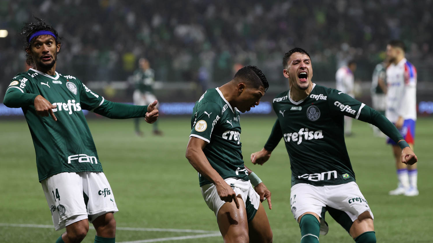 Imagem ilustrativa para a matéria