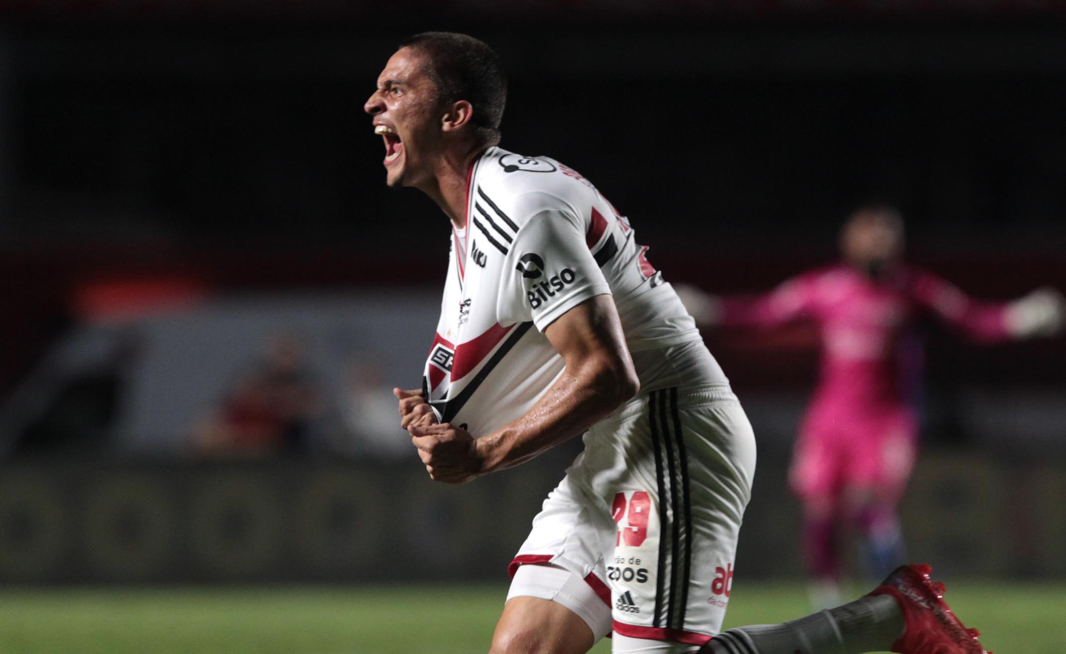 Imagem ilustrativa para a matéria
