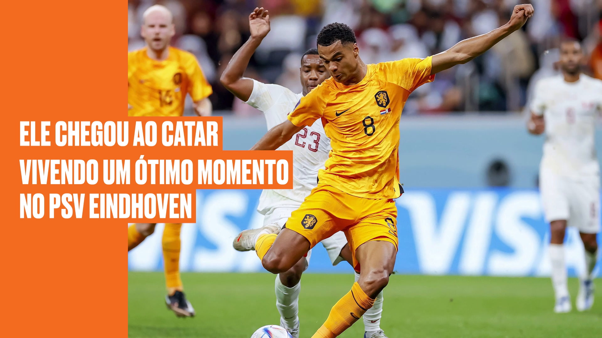 Imagem ilustrativa para a matéria